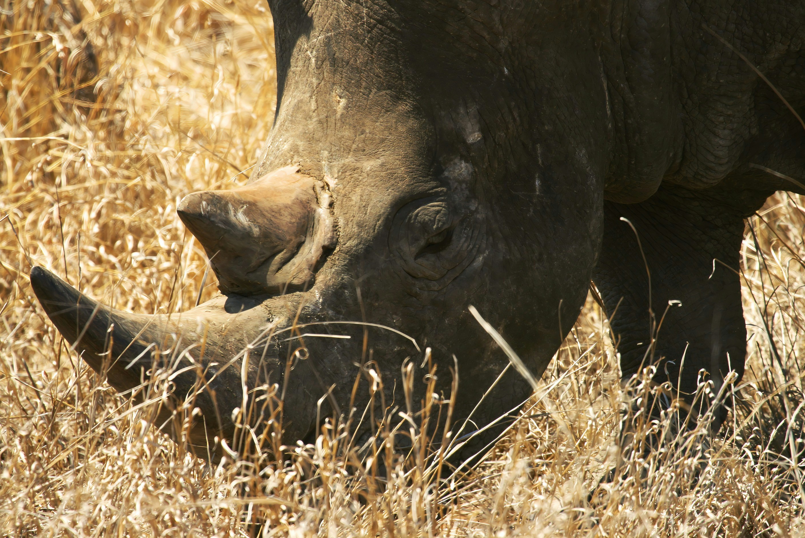 Photo by mitchbwilder