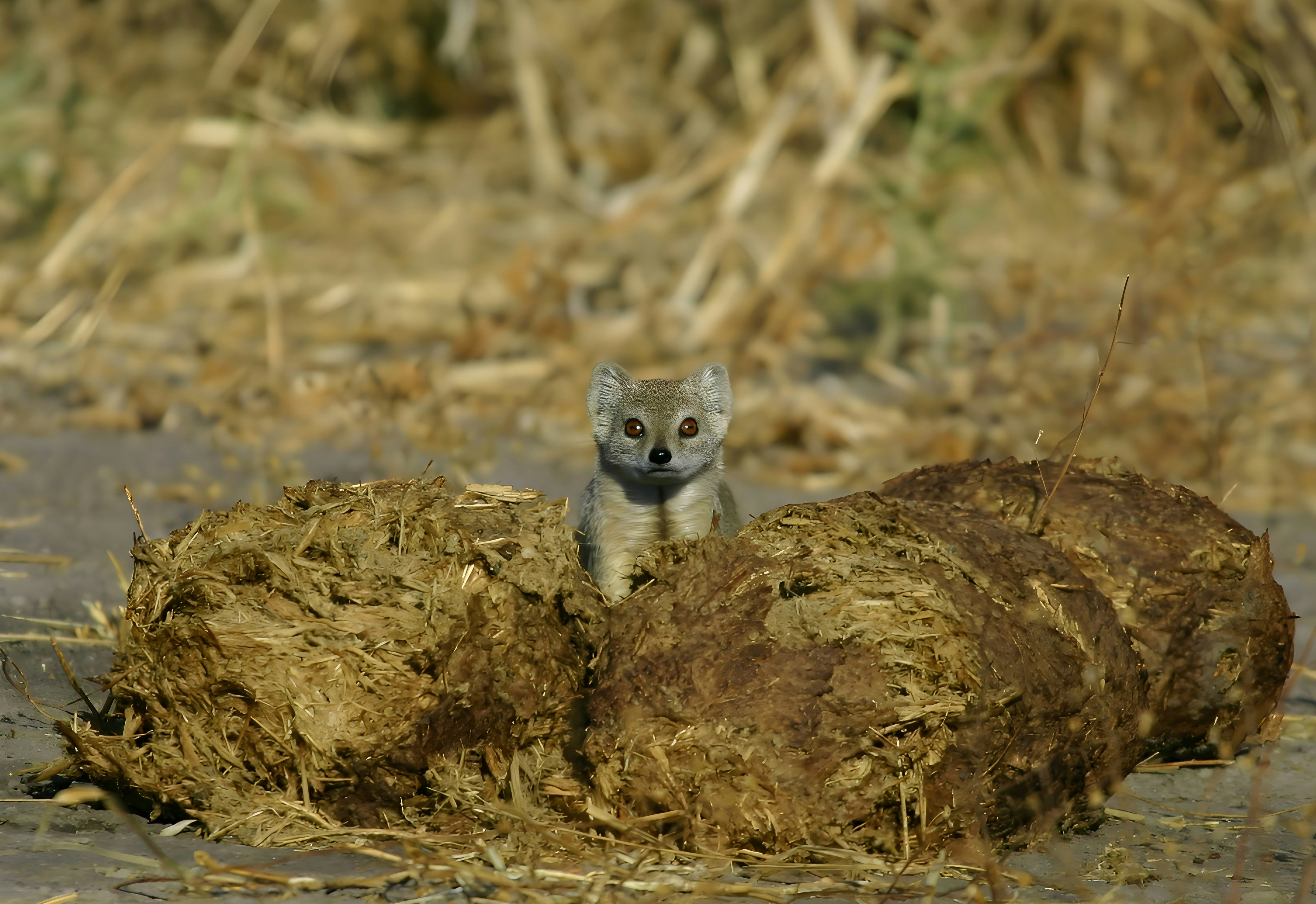 Photo by mitchbwilder