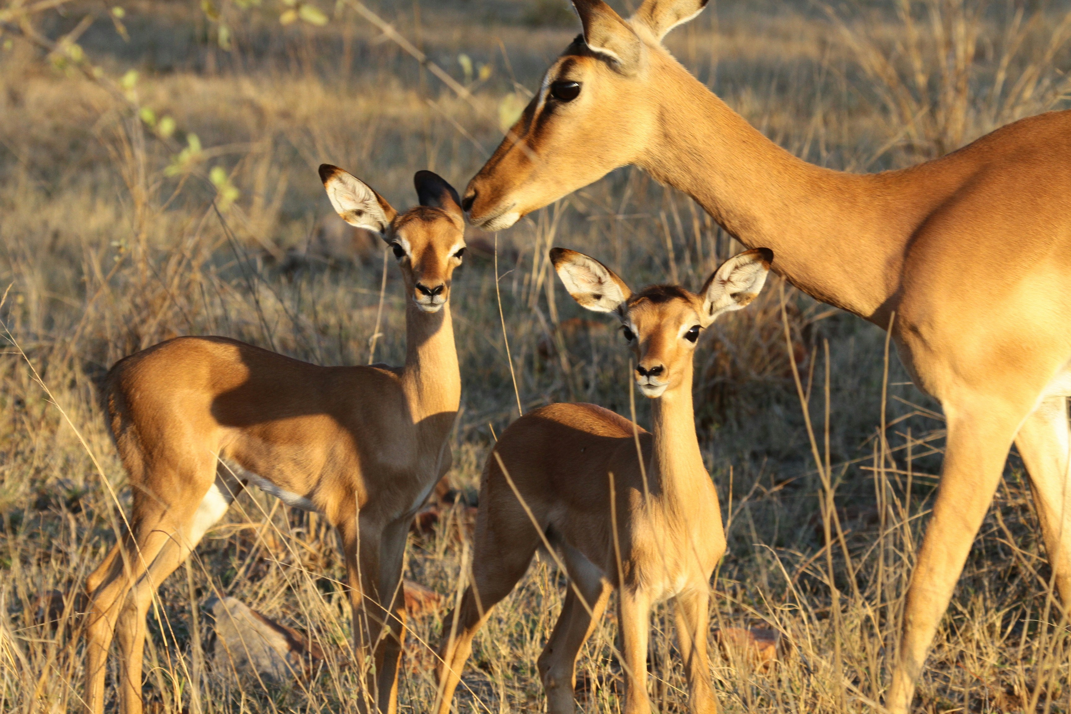 Photo by mitchbwilder