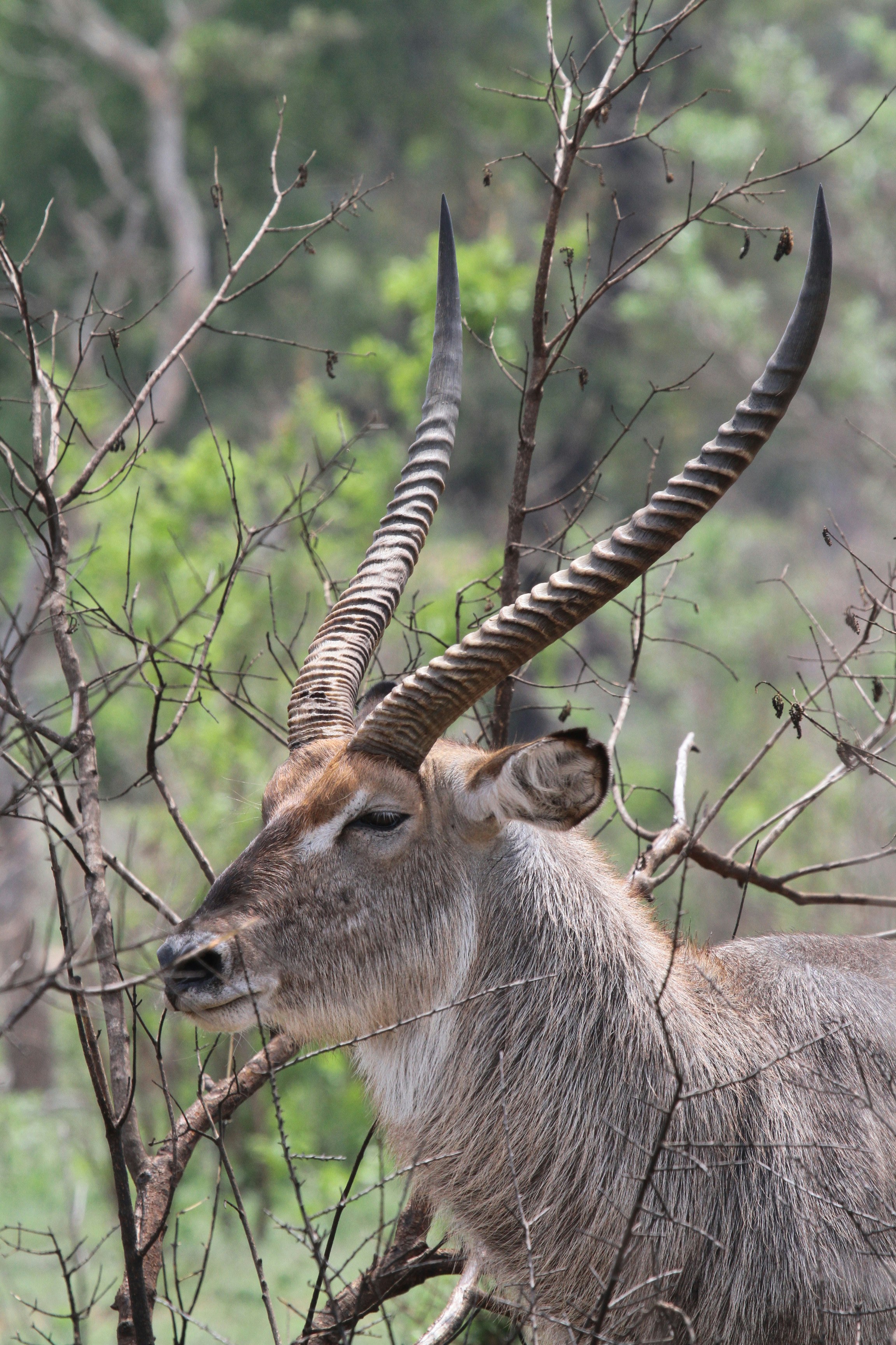 Photo by mitchbwilder