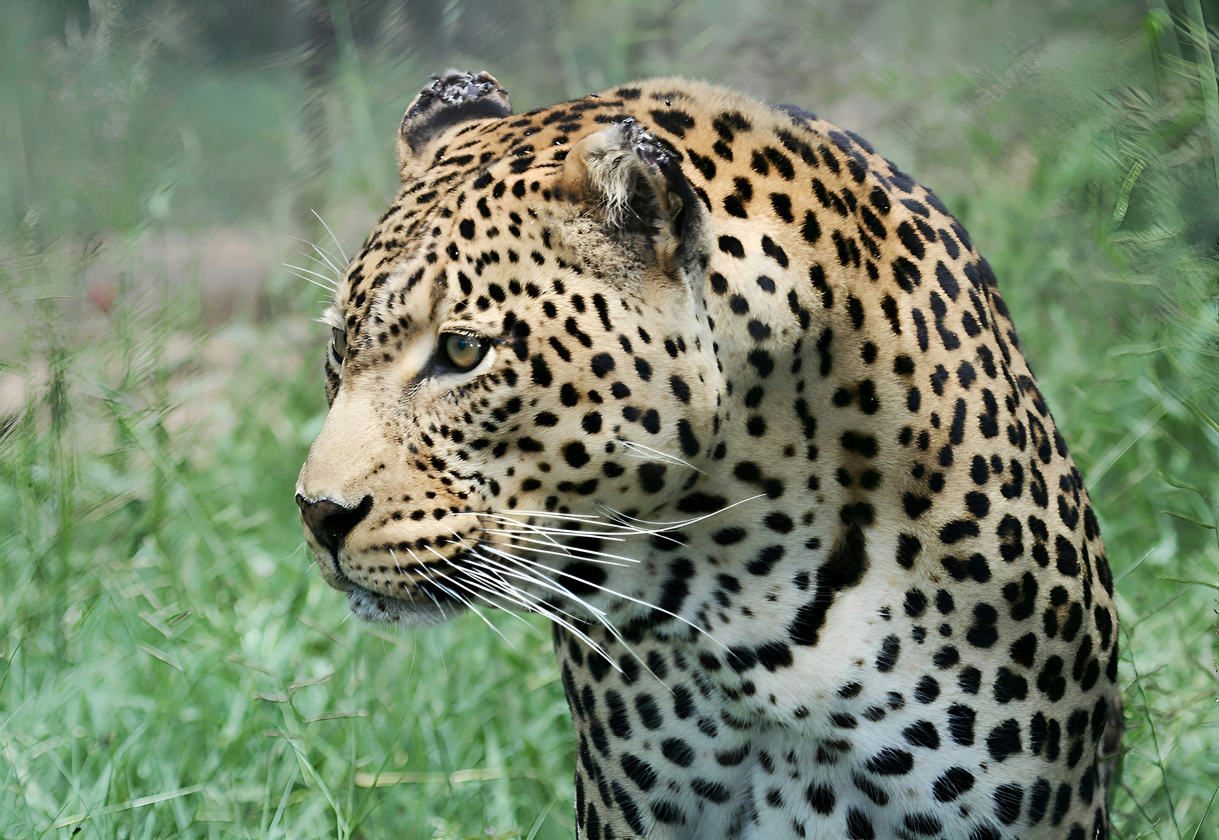 Photo by mitchbwilder