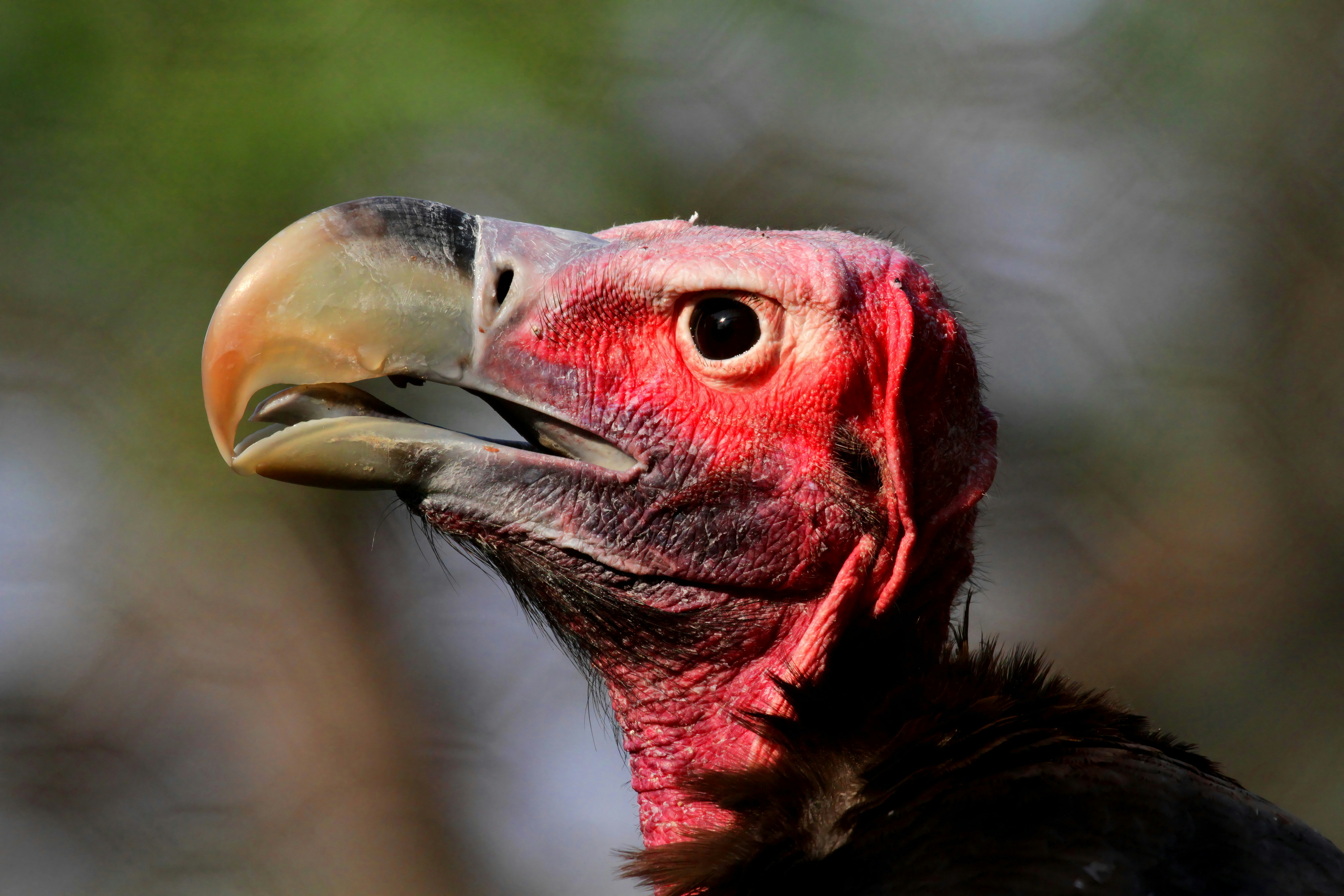 Photo by mitchbwilder