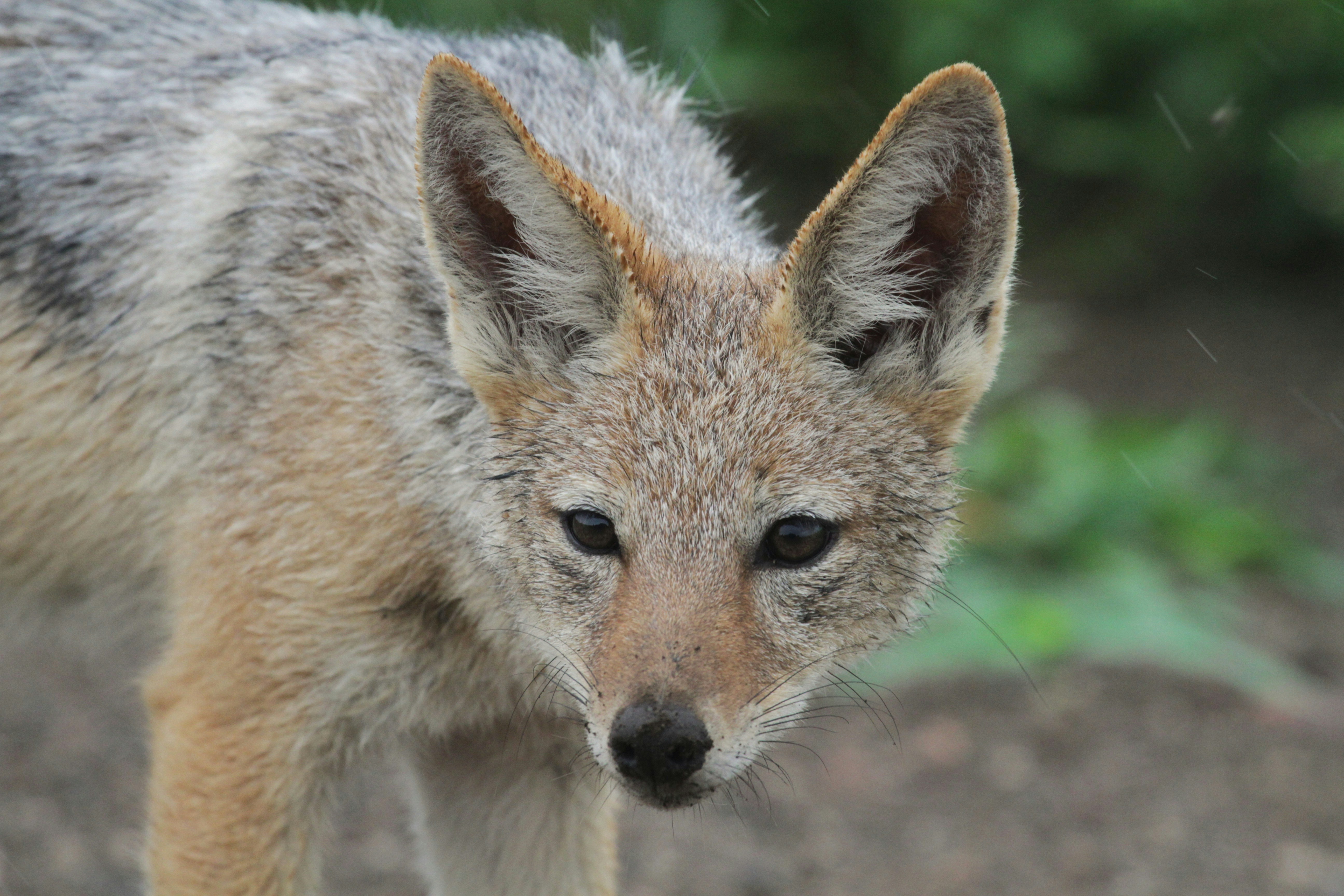 Photo by mitchbwilder