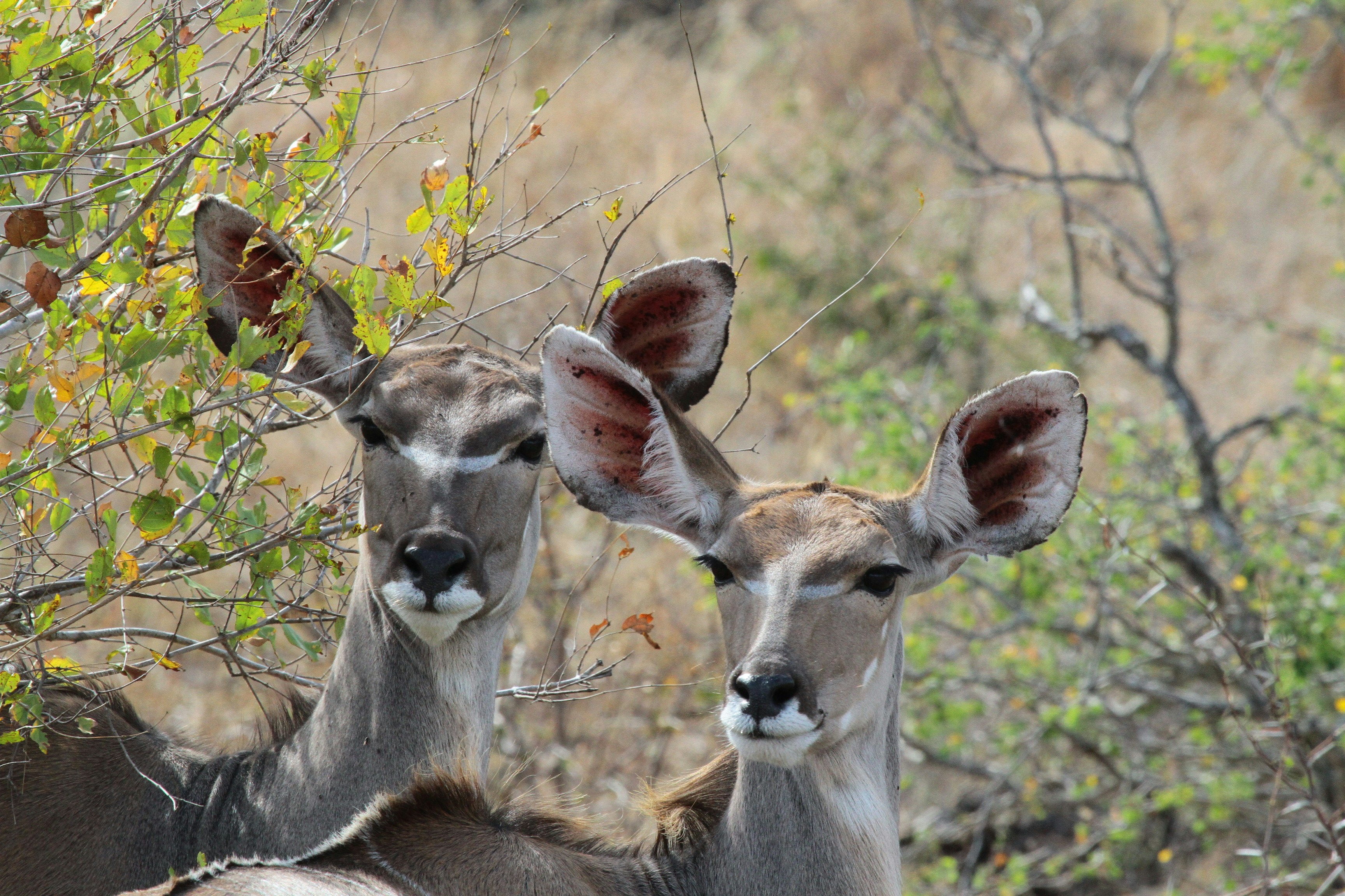 Photo by mitchbwilder