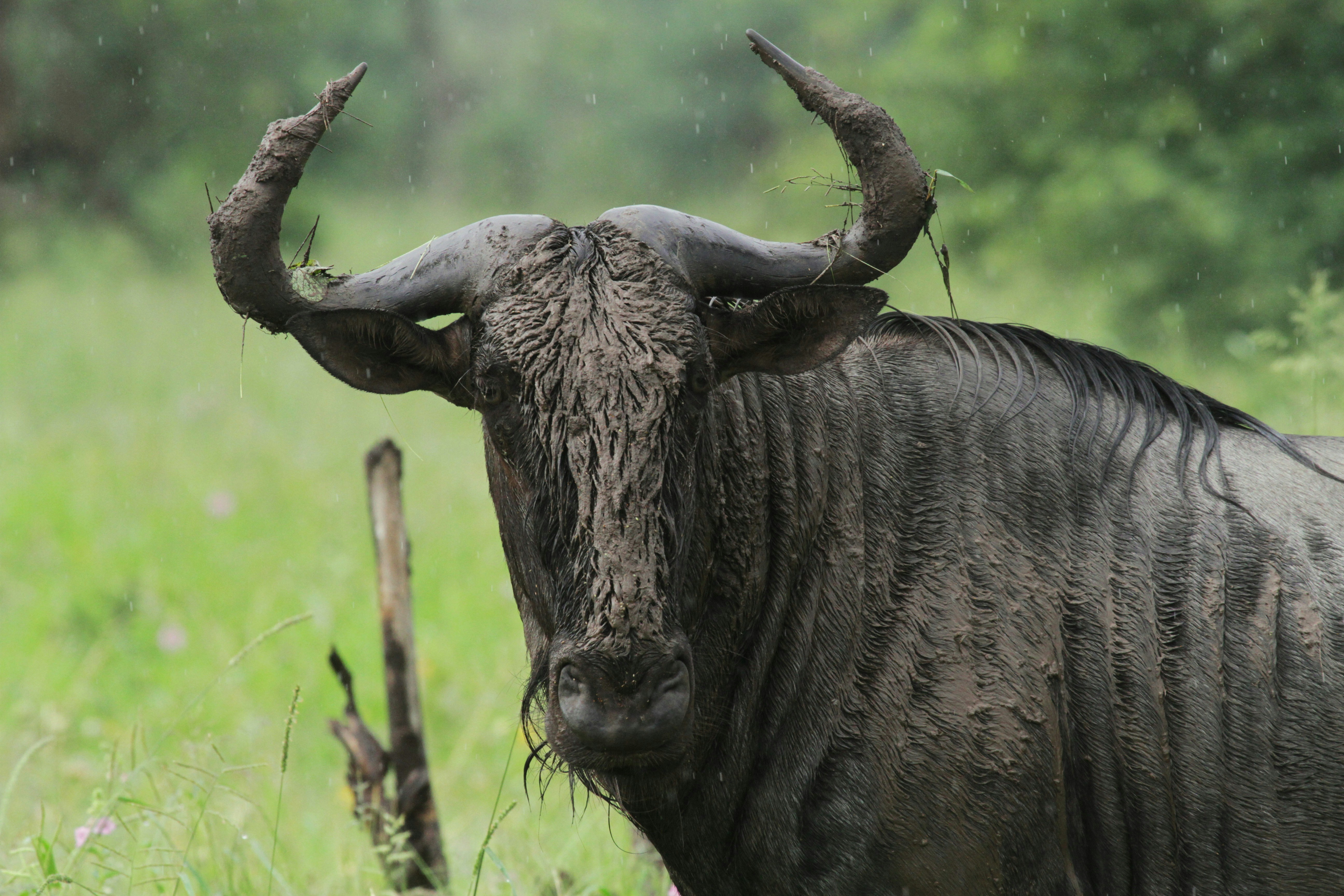 Photo by mitchbwilder