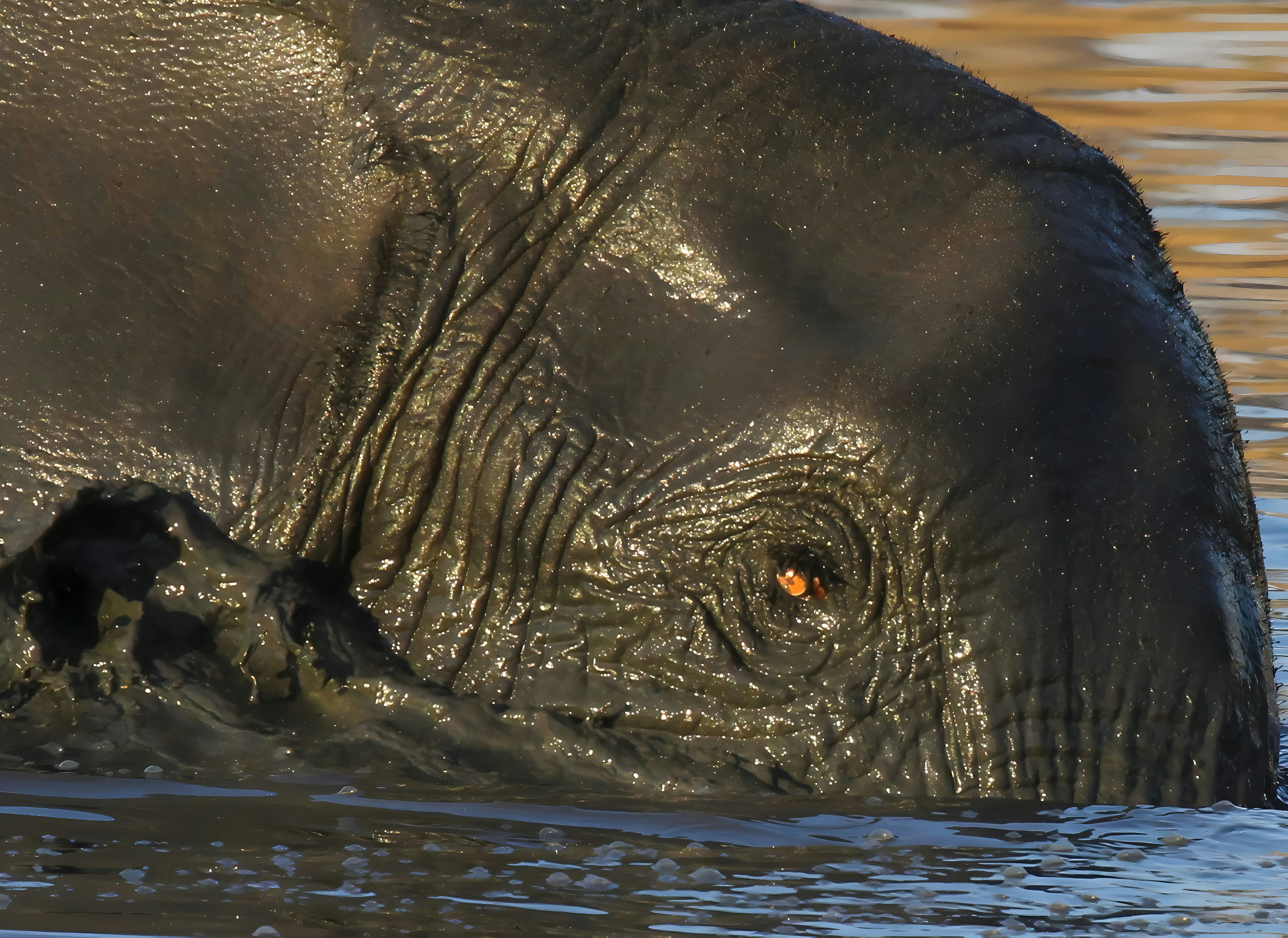 Photo by mitchbwilder