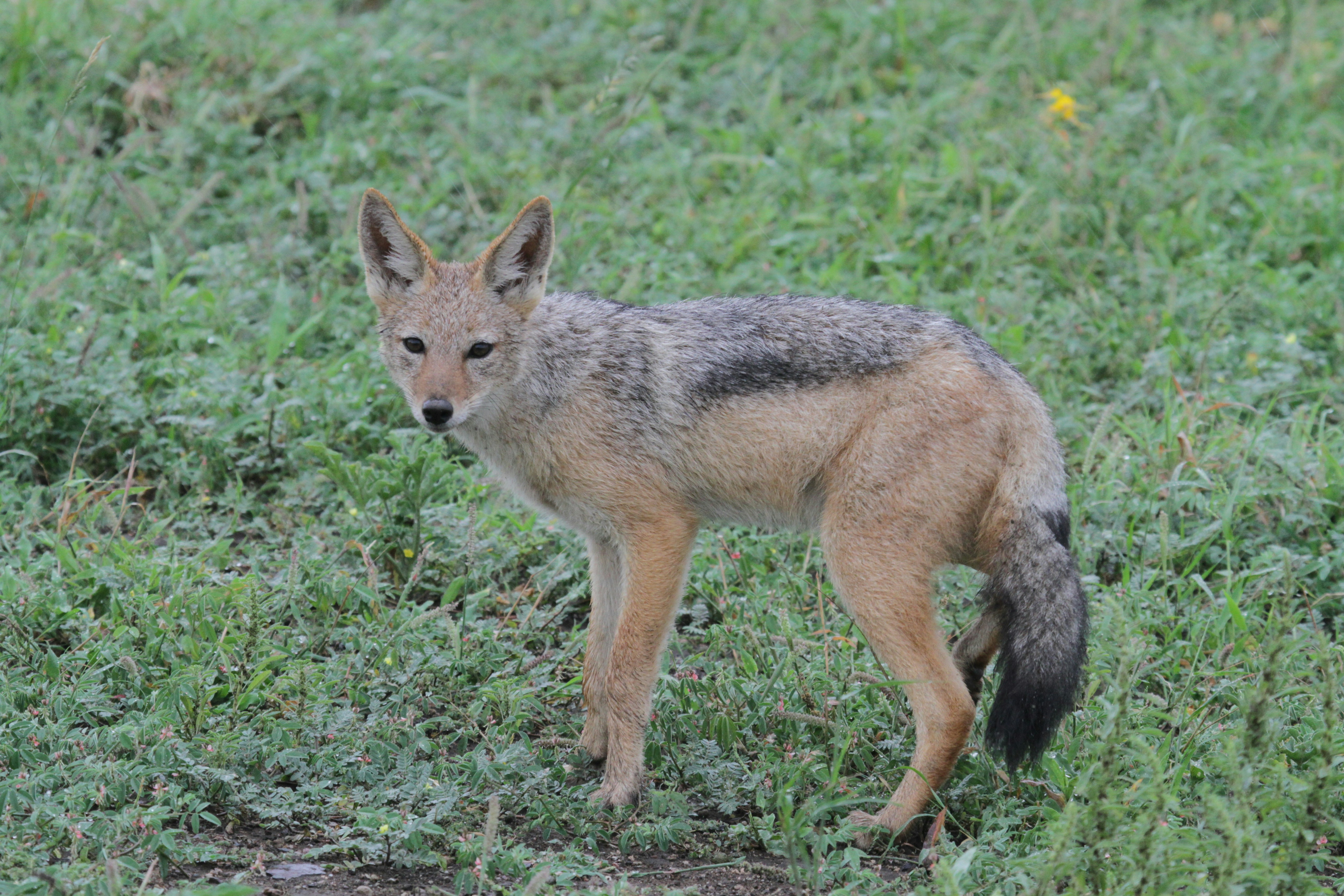 Photo by mitchbwilder