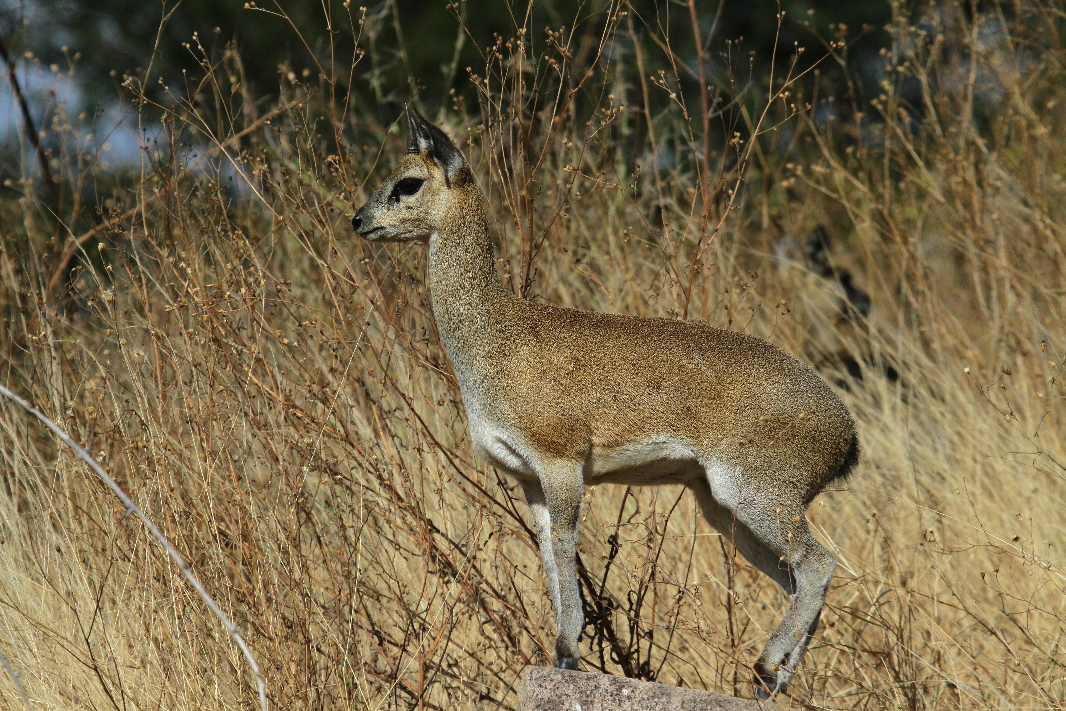 Photo by mitchbwilder