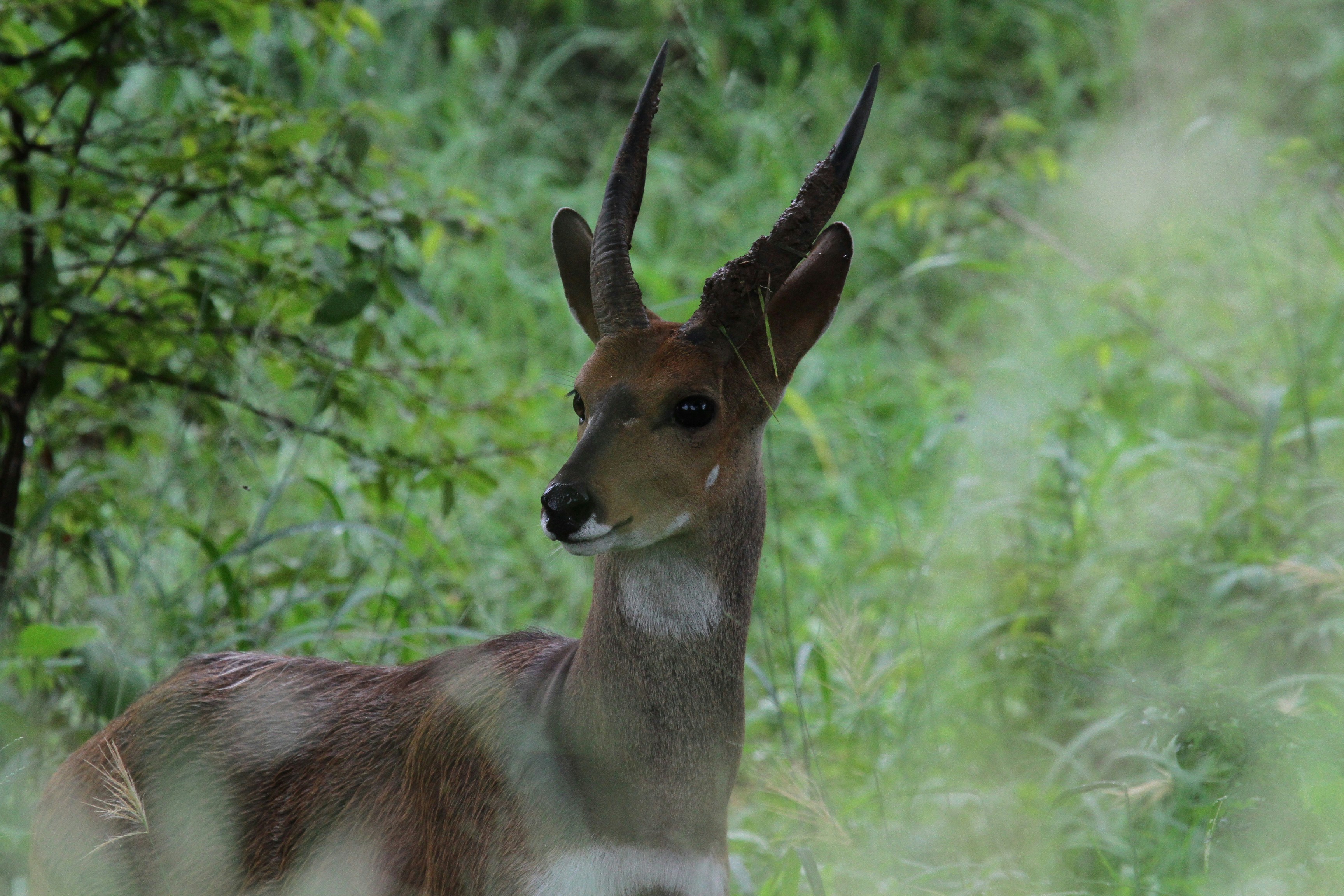 Photo by mitchbwilder