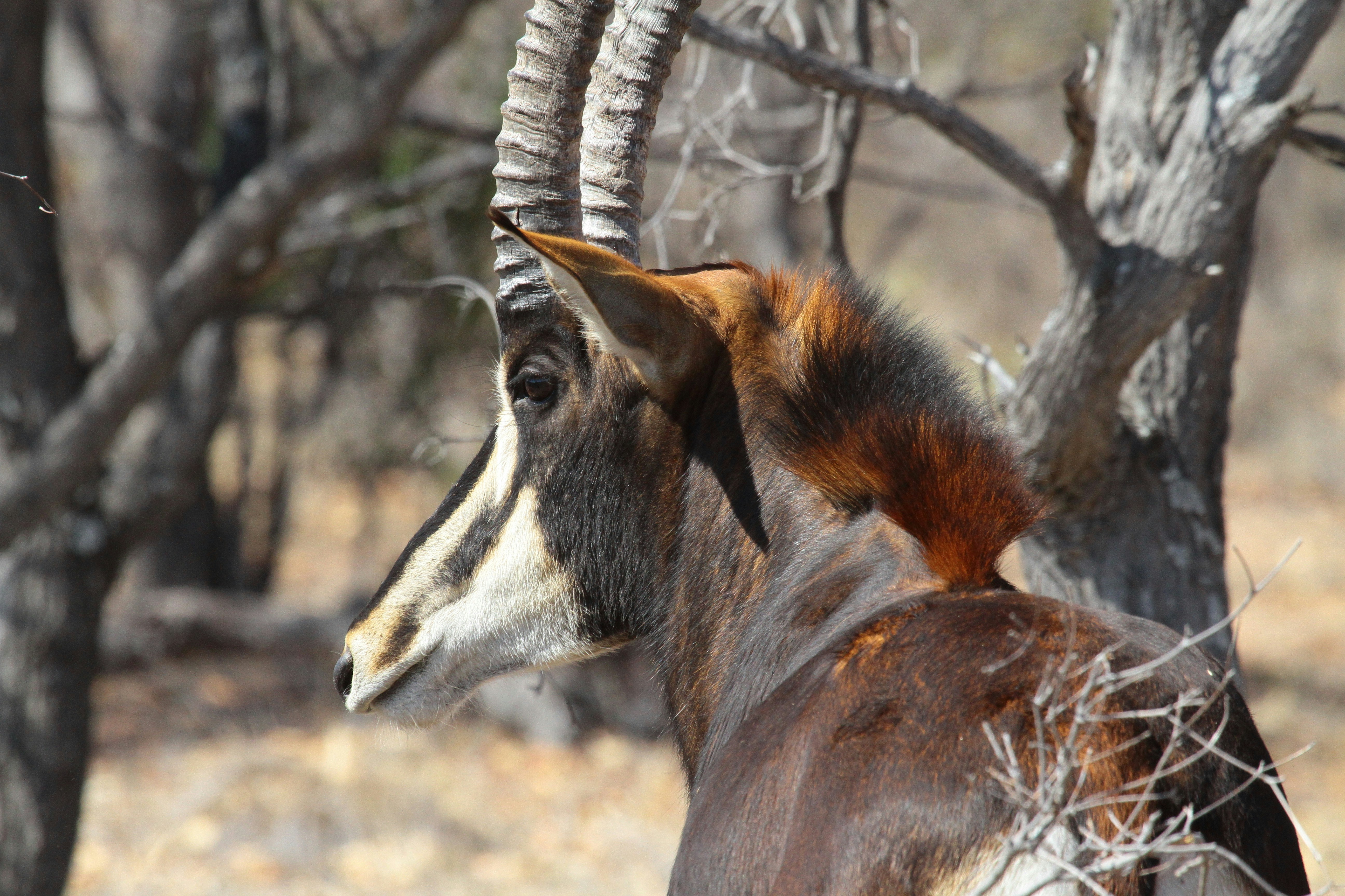 Photo by mitchbwilder