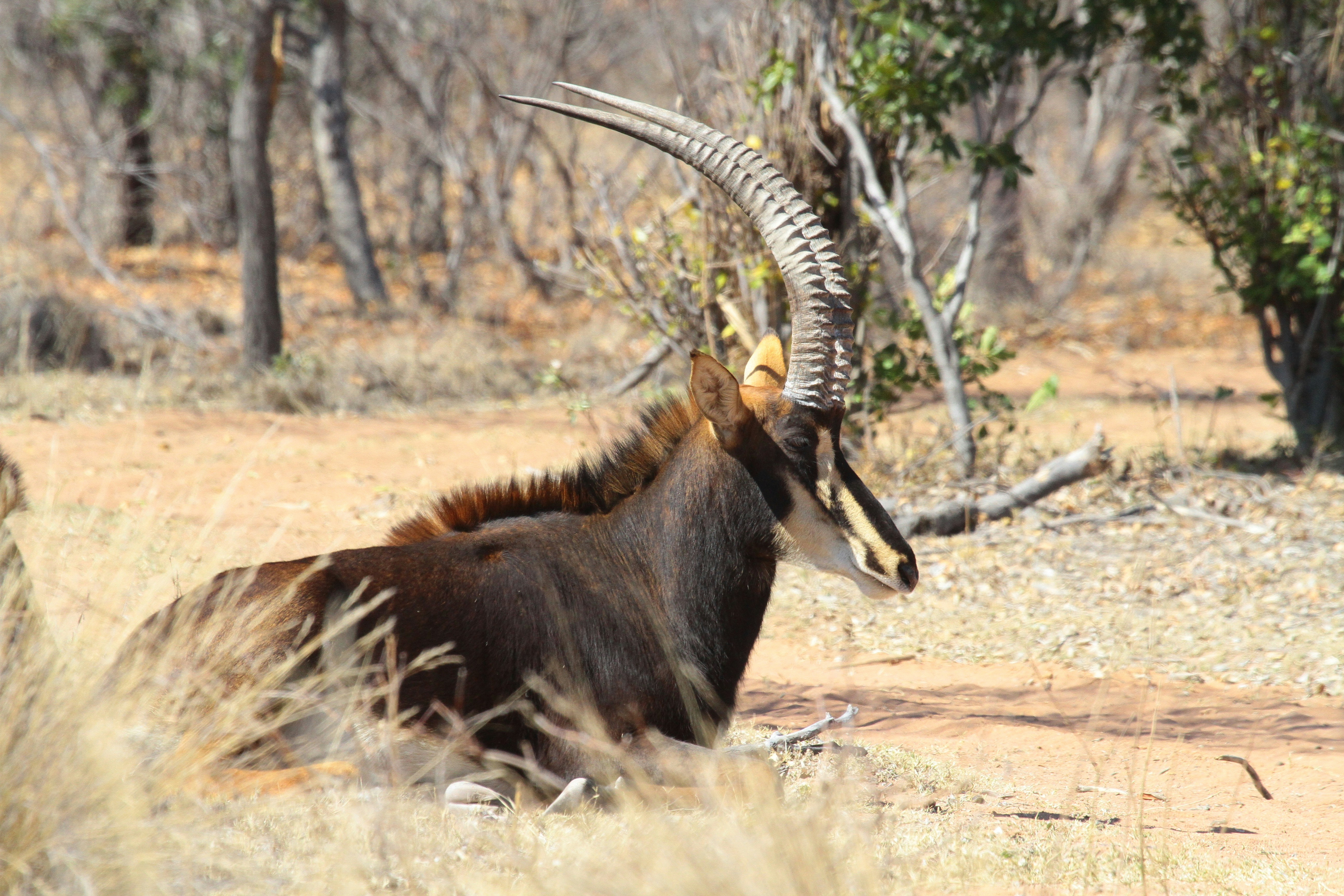 Photo by mitchbwilder