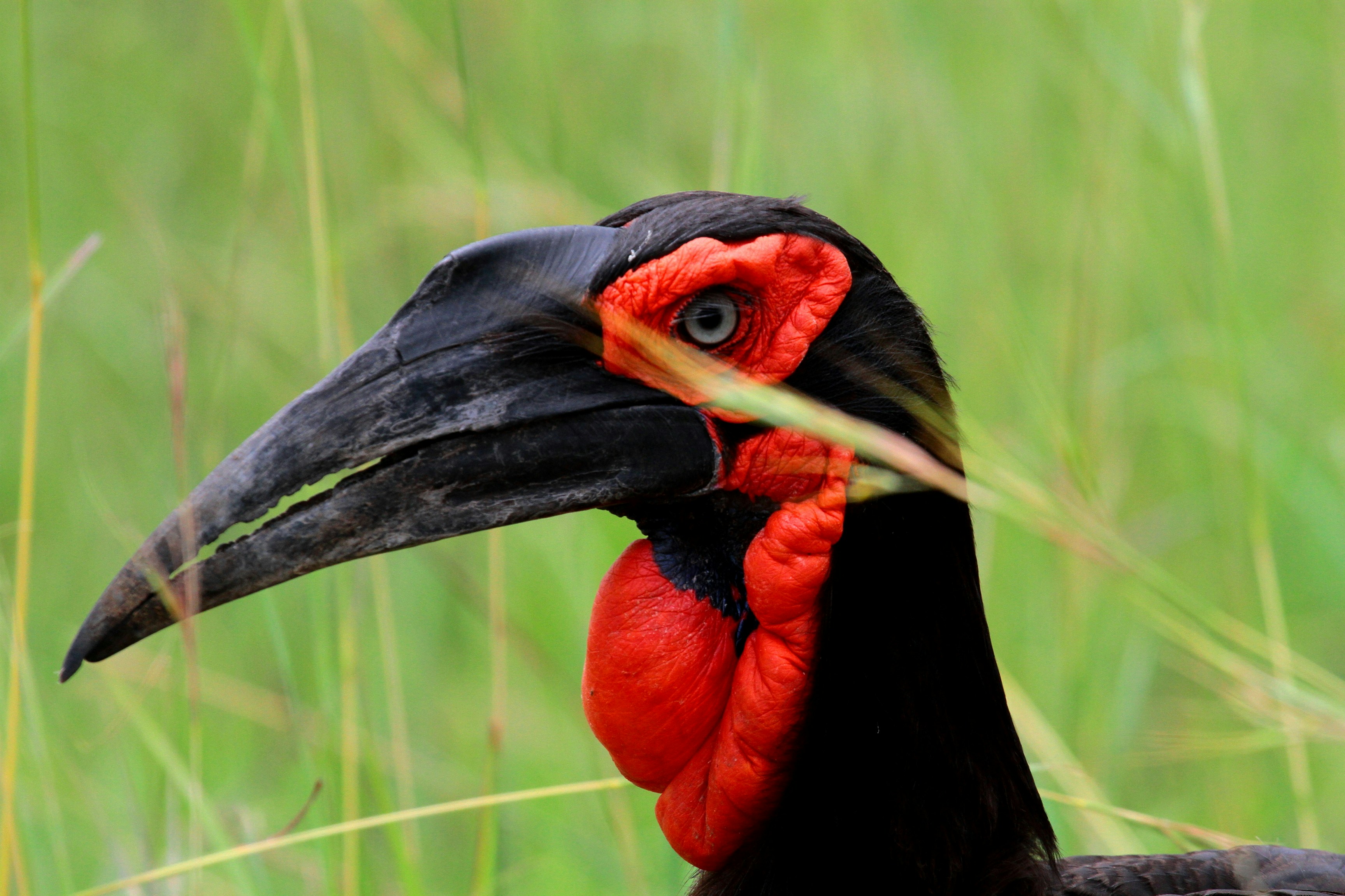 Photo by mitchbwilder