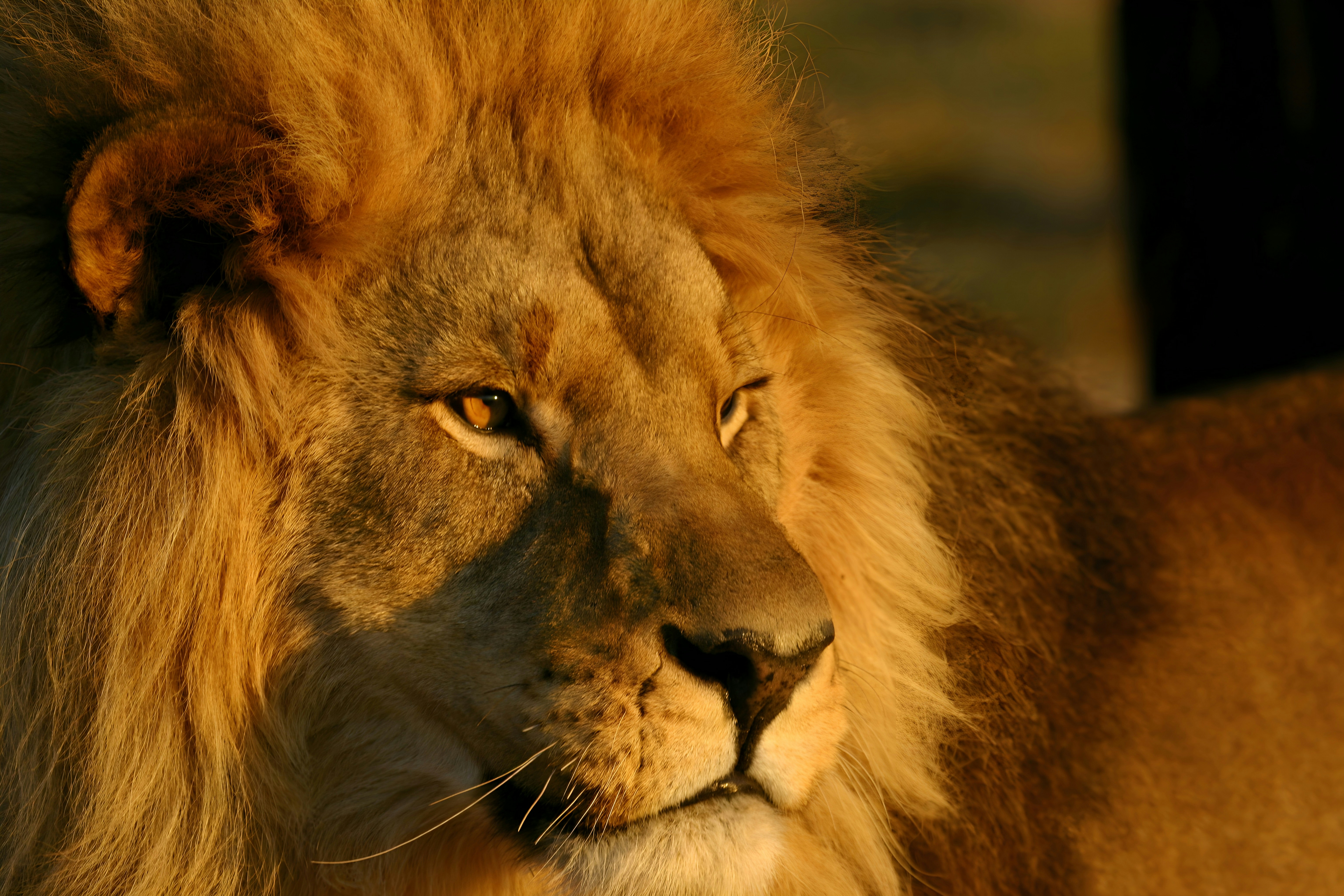 Photo by mitchbwilder