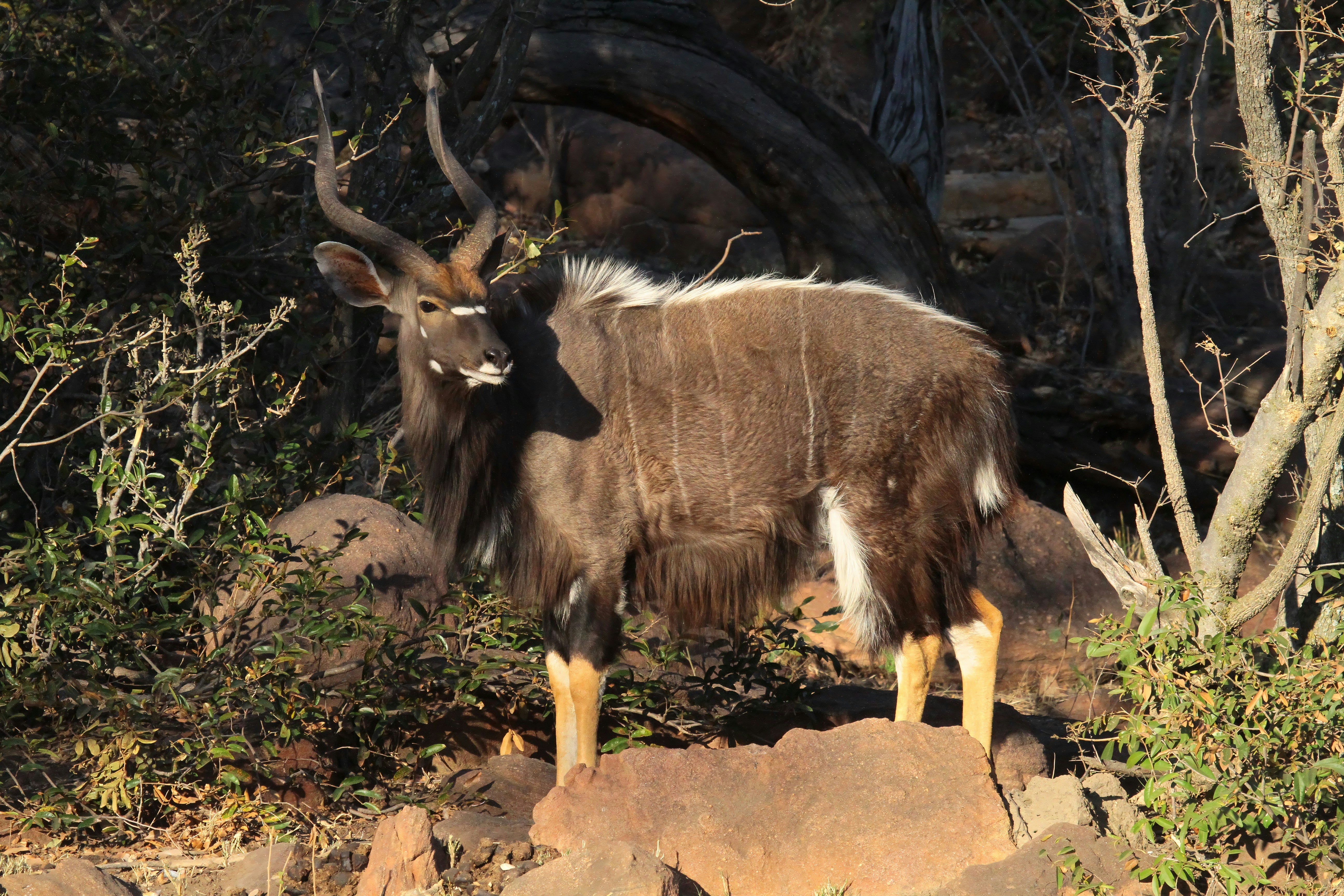 Photo by mitchbwilder