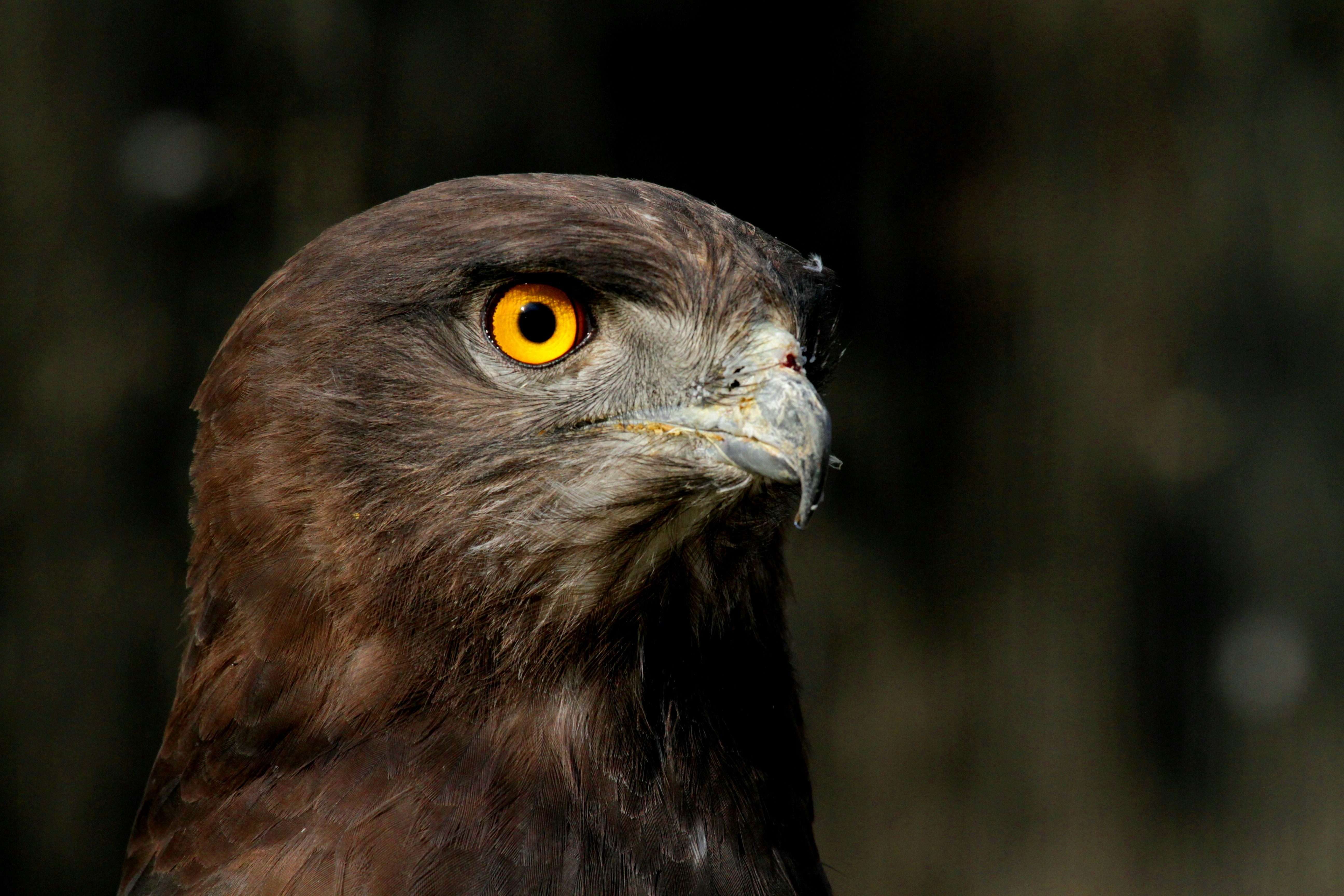 Photo by mitchbwilder