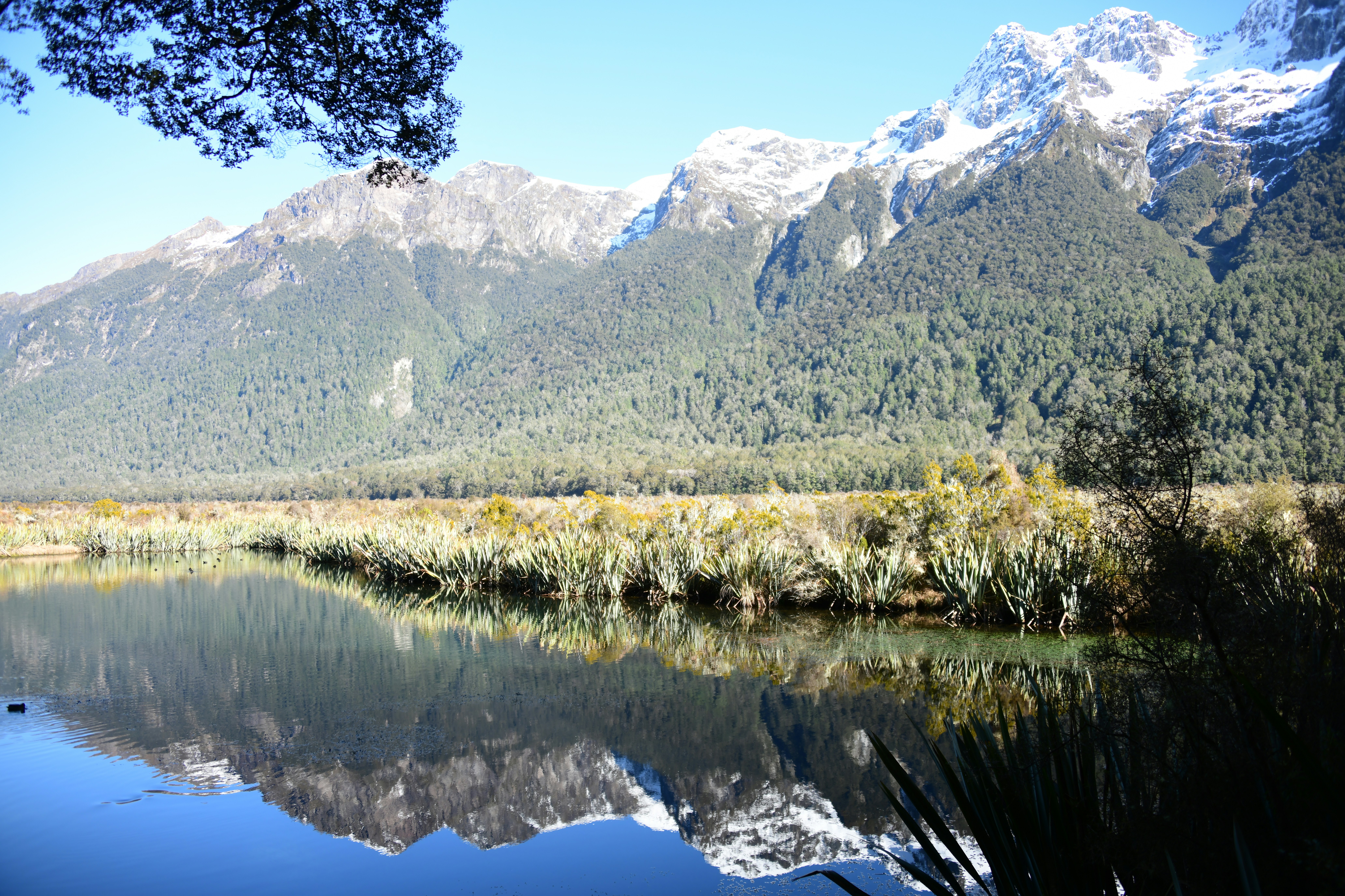 Photo by richard7seals