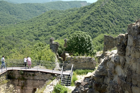 A scenic view of ancient ruins surrounded by lush greenery.