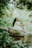 A serene woman sitting peacefully in a natural setting, embodying calm and balance.
