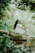 A serene woman sitting peacefully in a natural setting, embodying calm and balance.