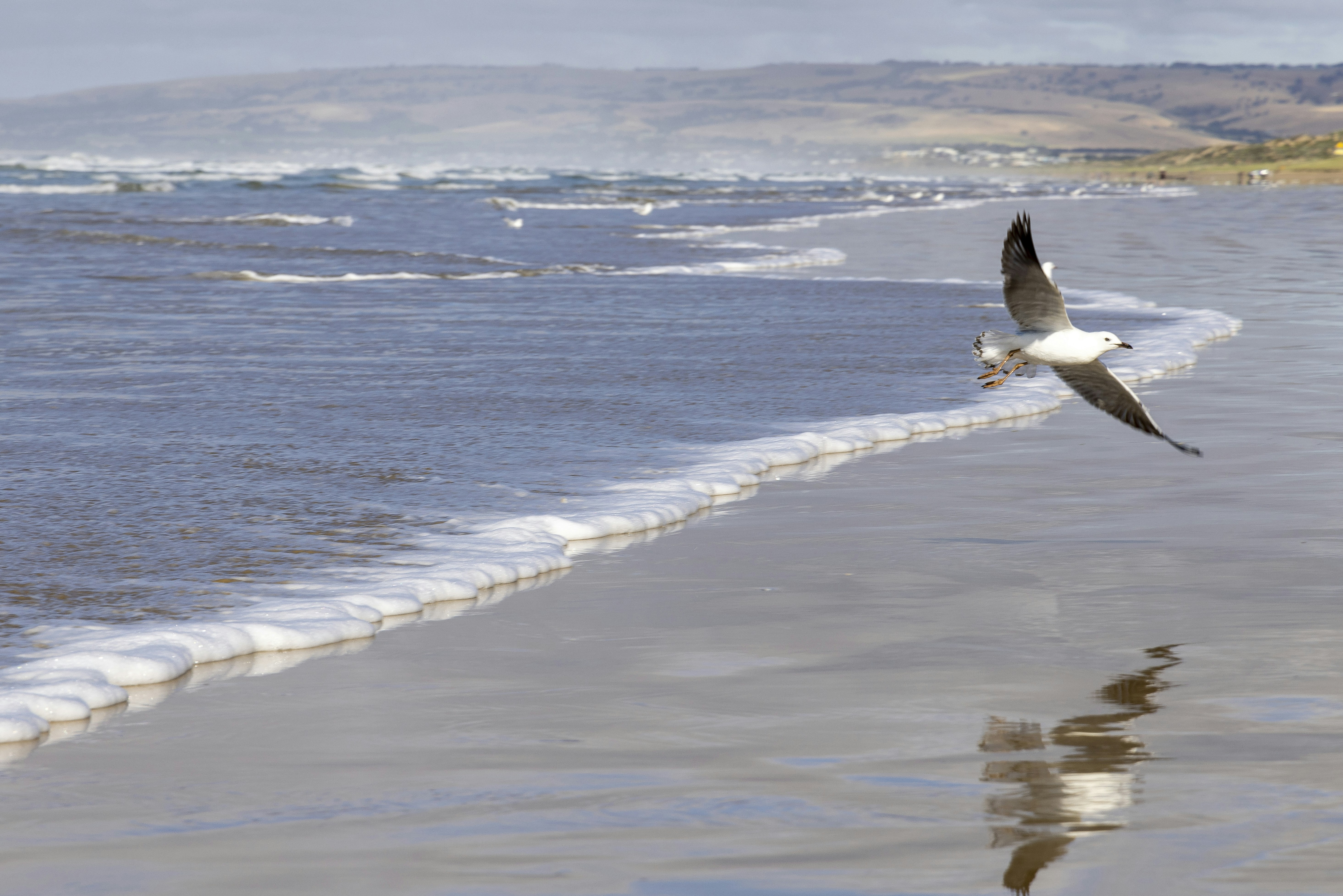 Photo by stephenmabbs