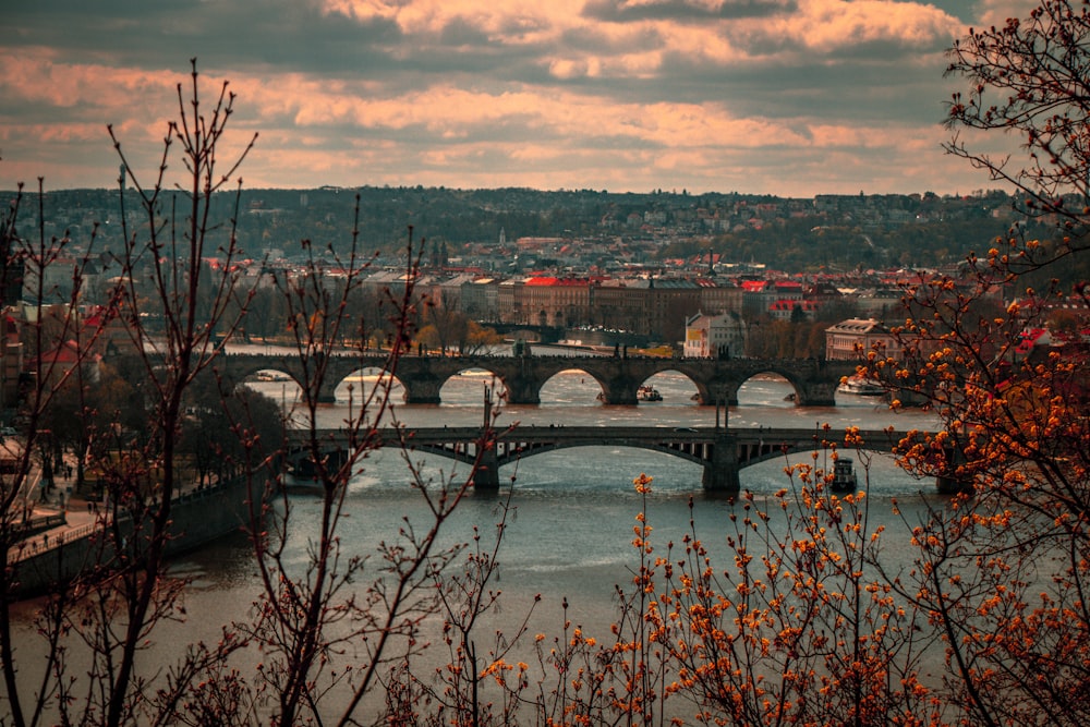 a bridge over a river with a city in the background