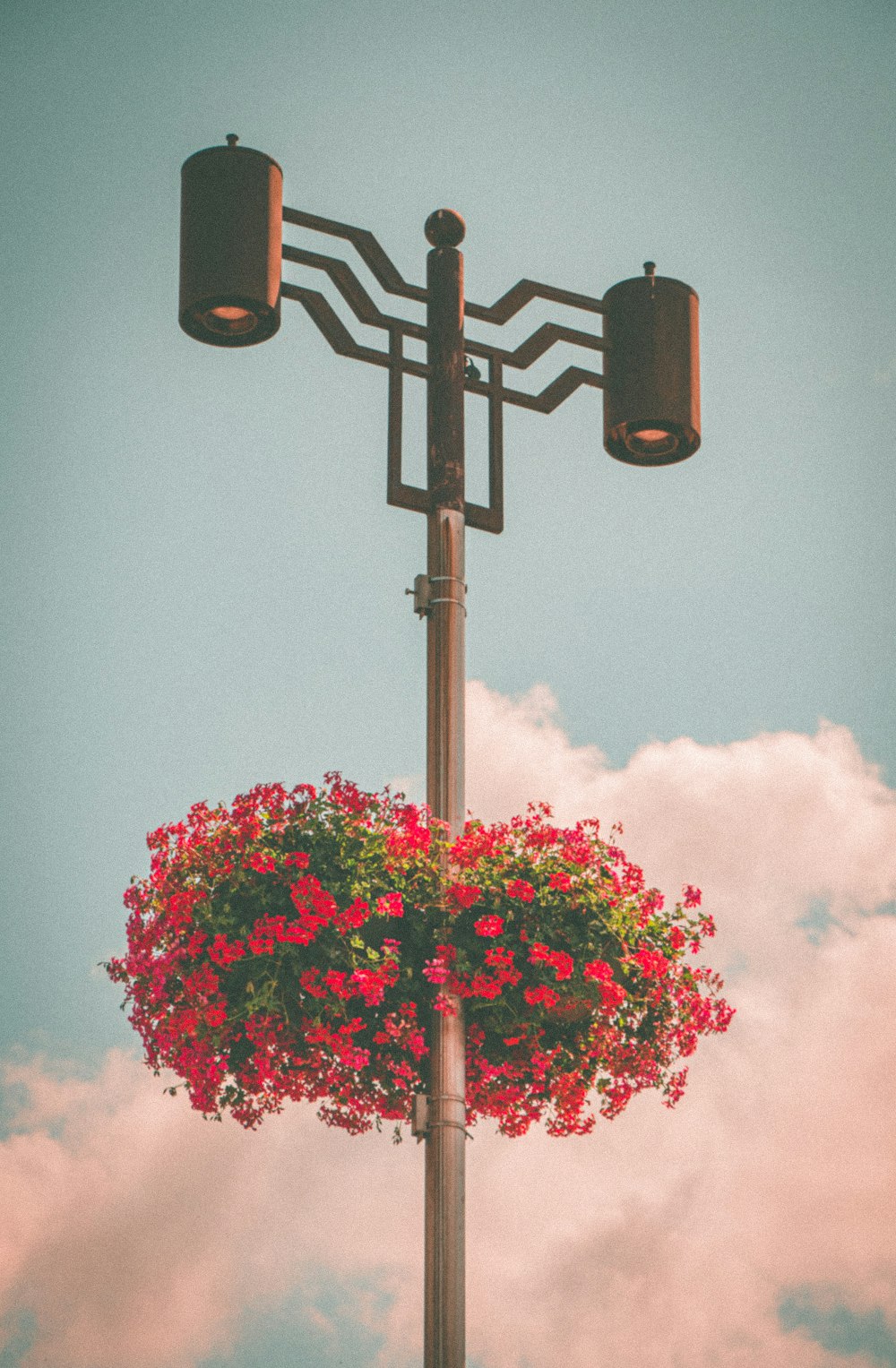 a street light with a hanging basket of flowers