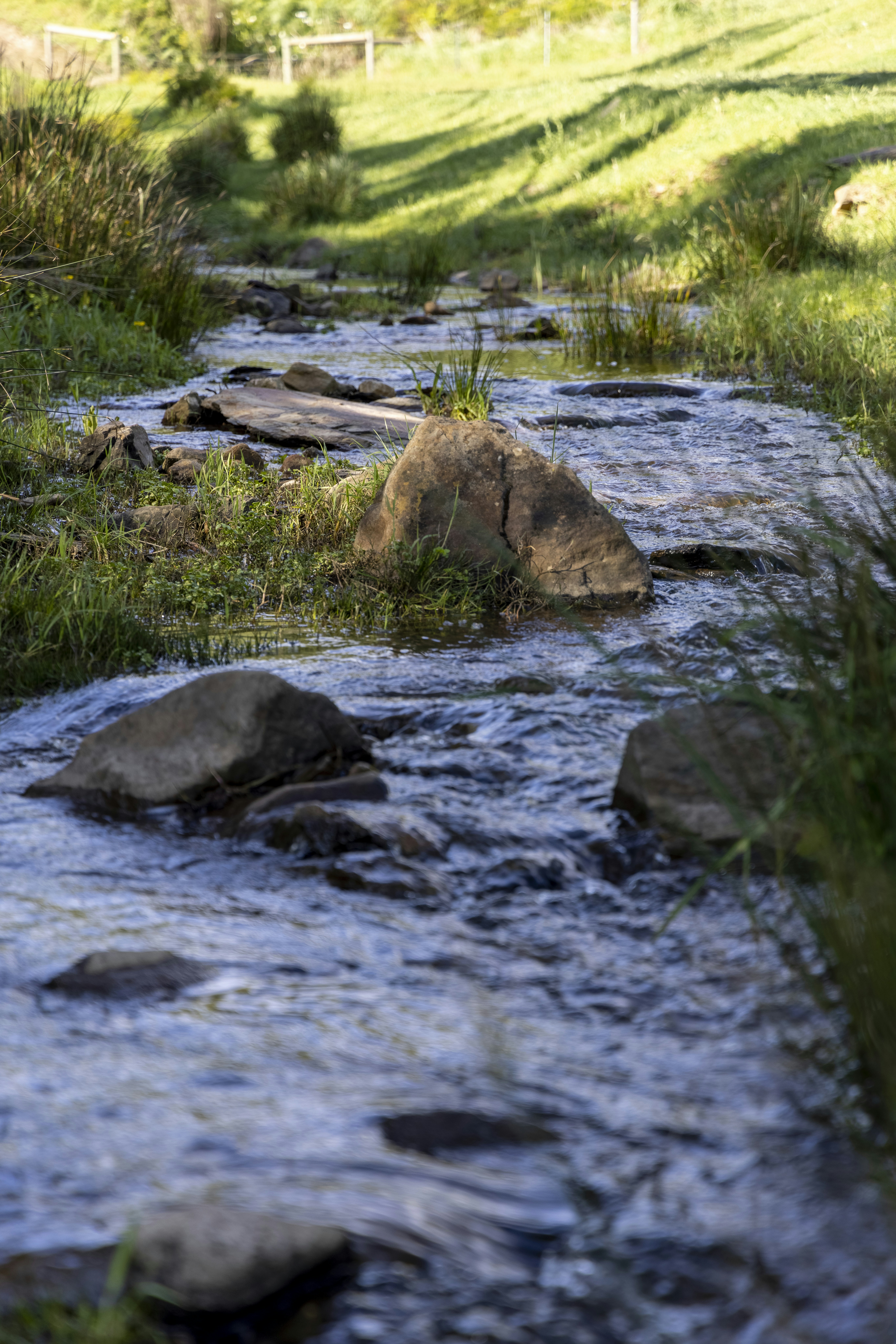 Photo by stephenmabbs