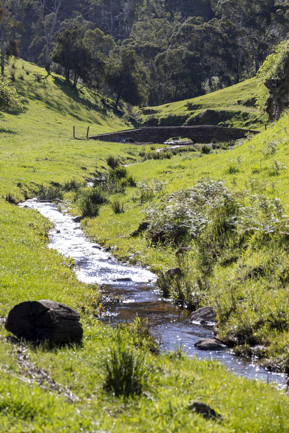 a stream running through a lush green field