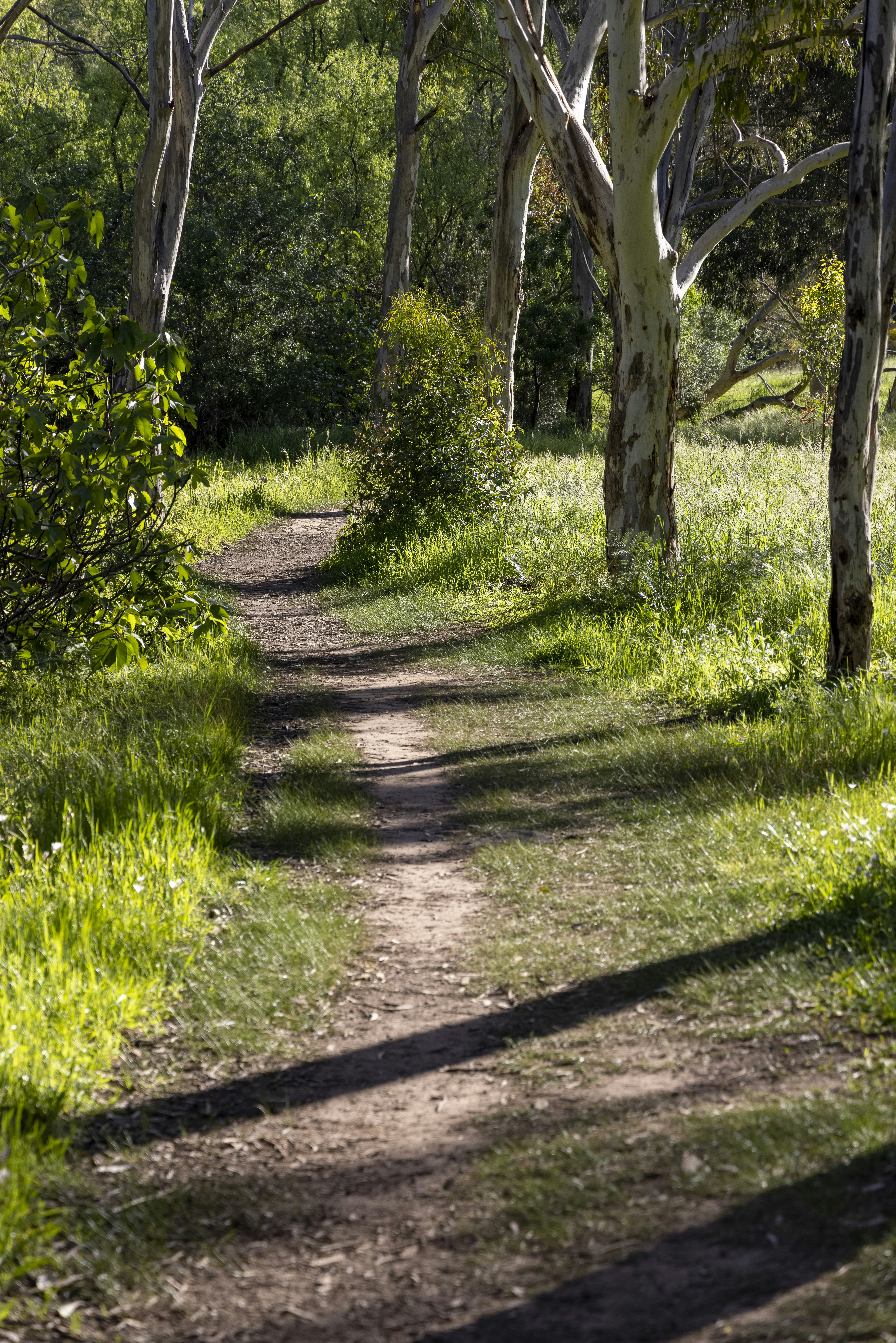 Photo by stephenmabbs