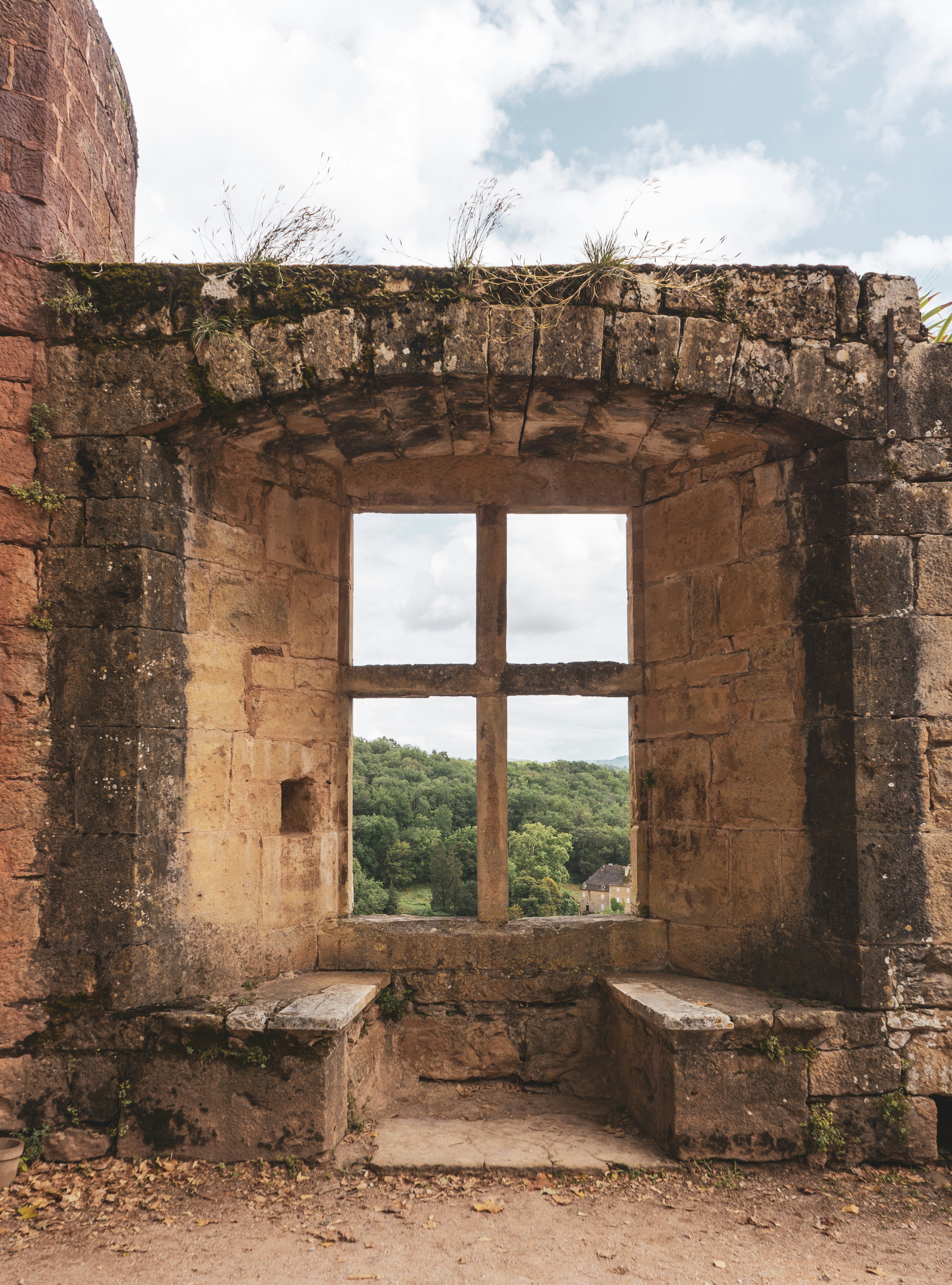 ☀️🔮 L016 3b - Past or Future? - Tricky Twins 👀