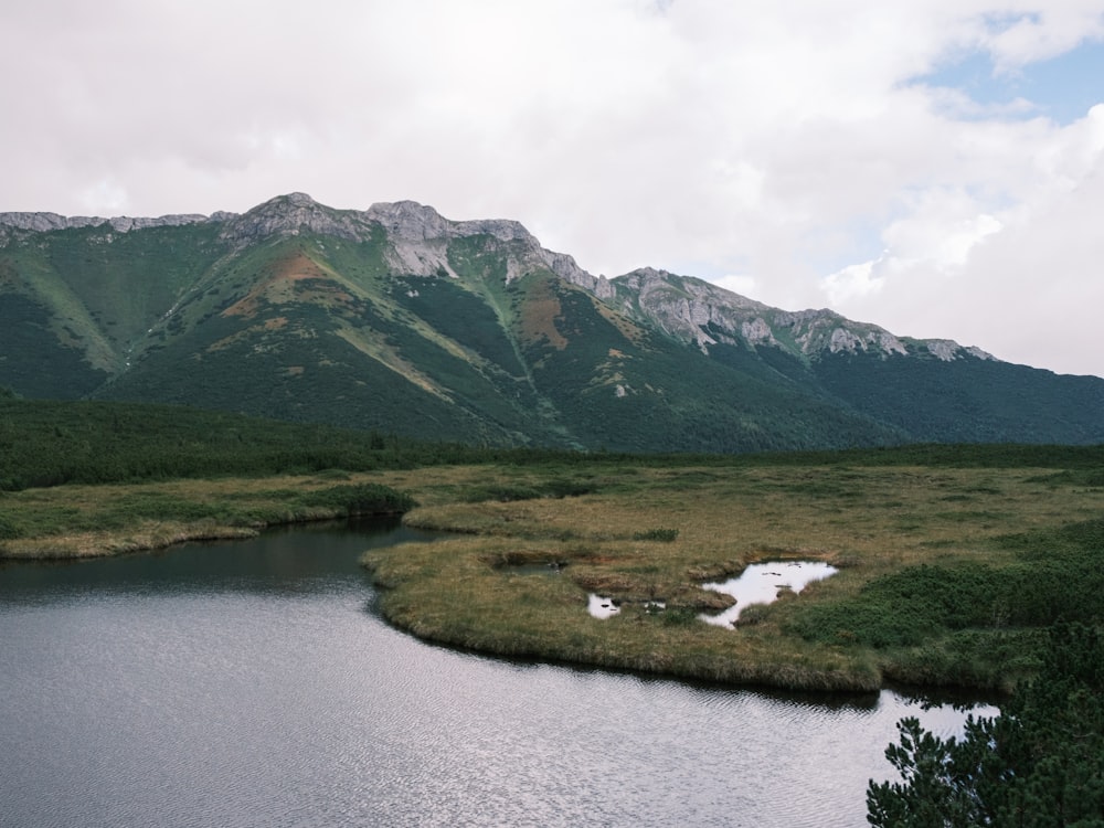 a body of water surrounded by mountains and grass