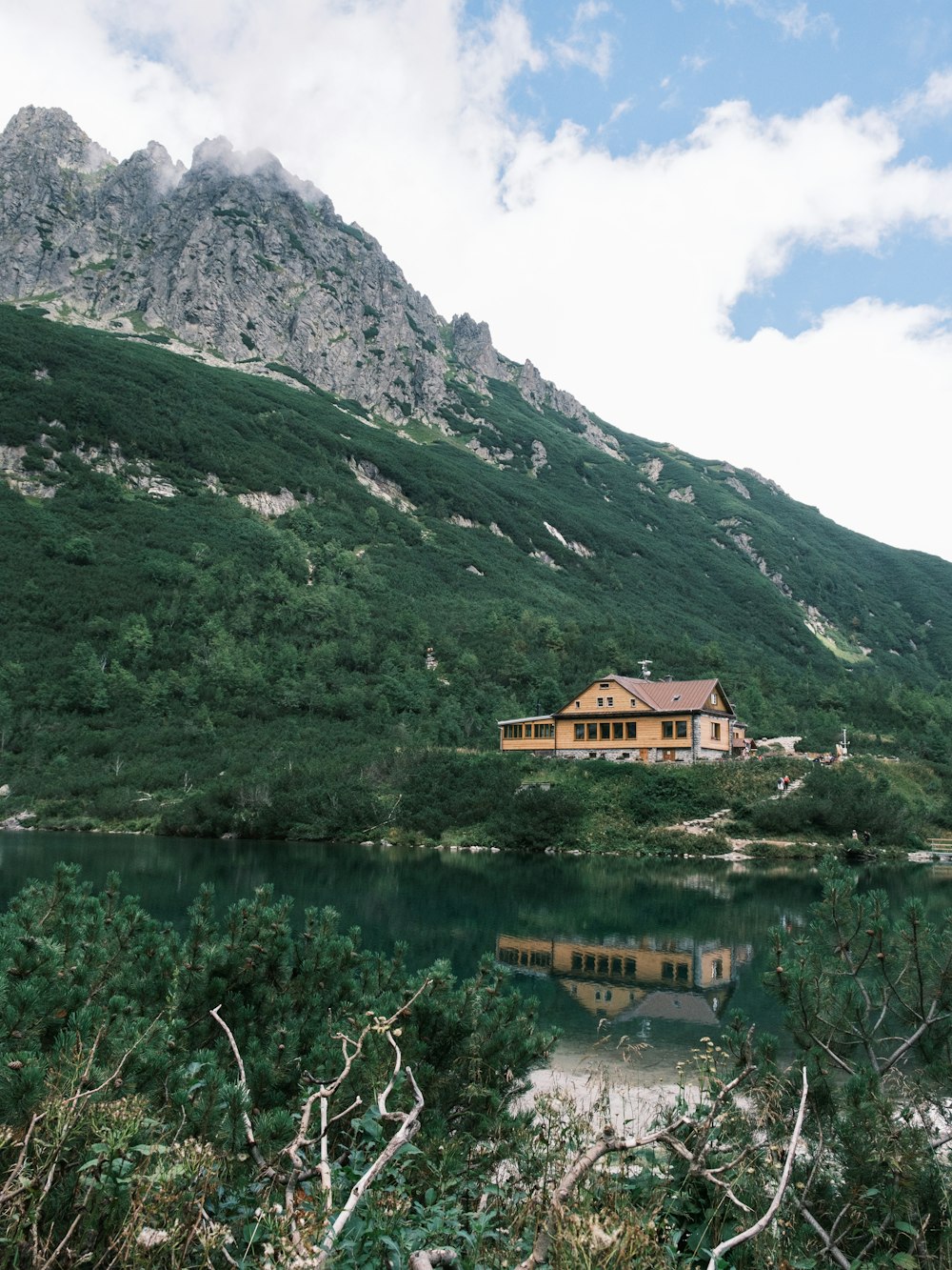 a house sitting on top of a lush green hillside