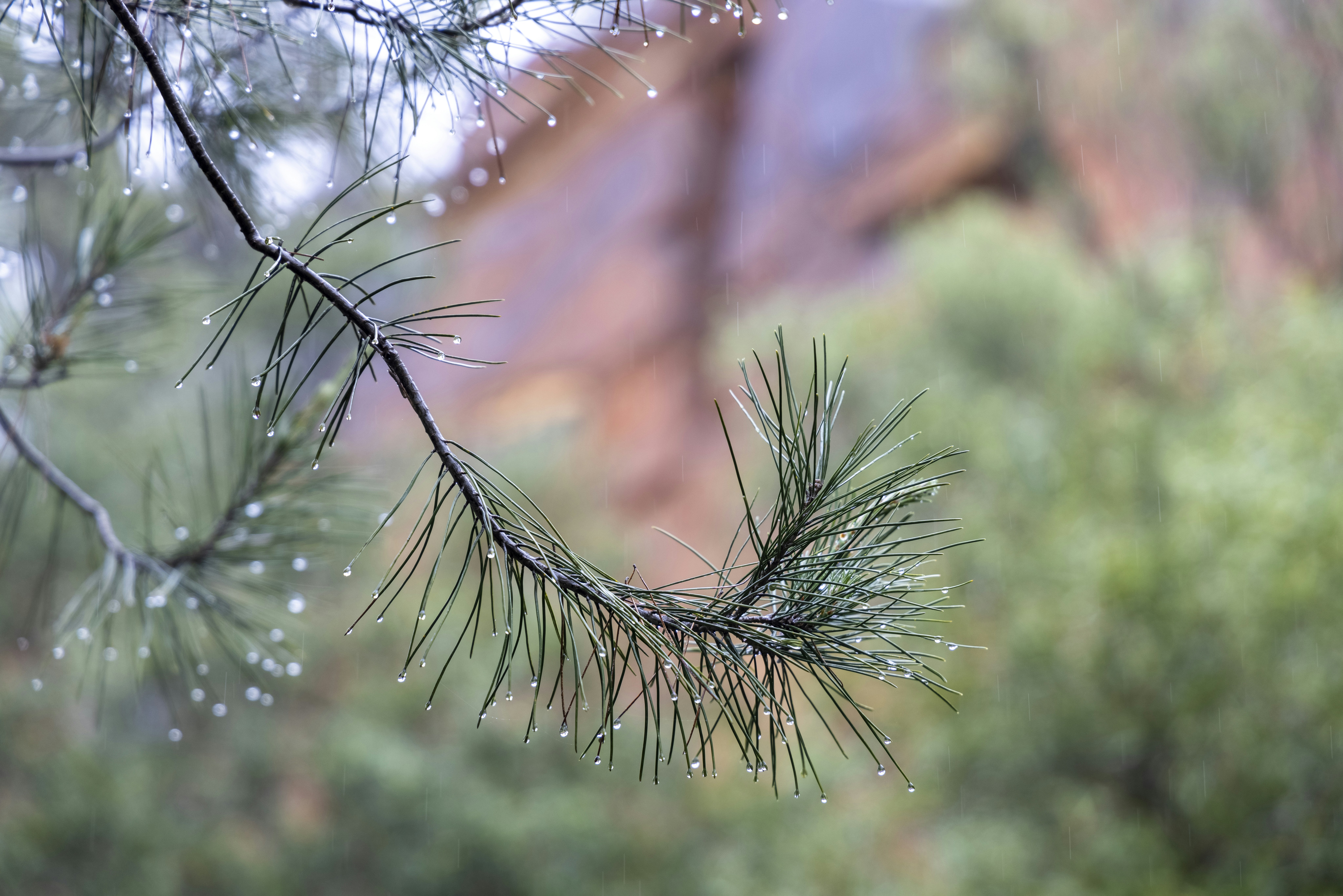 Photo by stephenmabbs