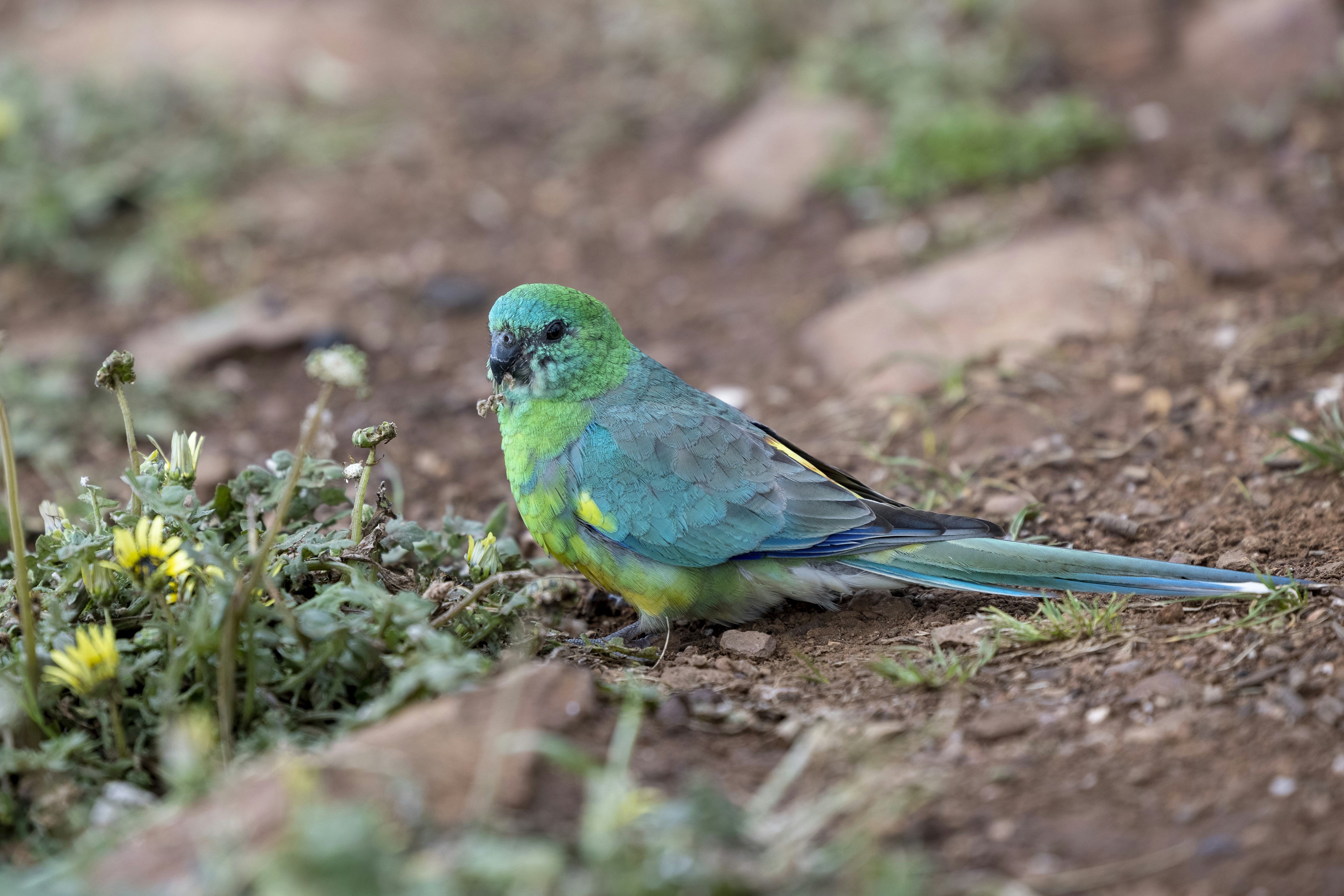 Photo by stephenmabbs