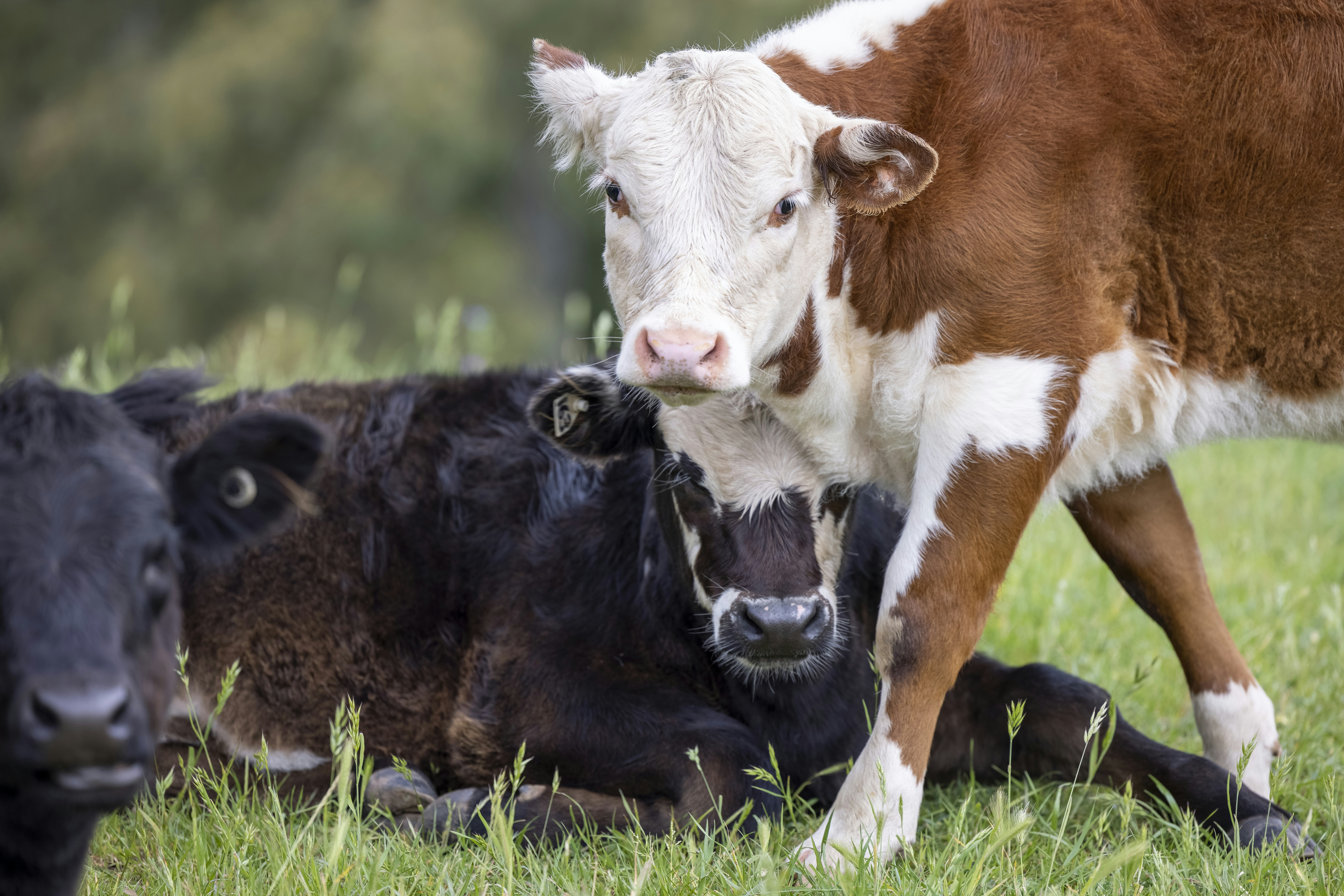 Photo by stephenmabbs