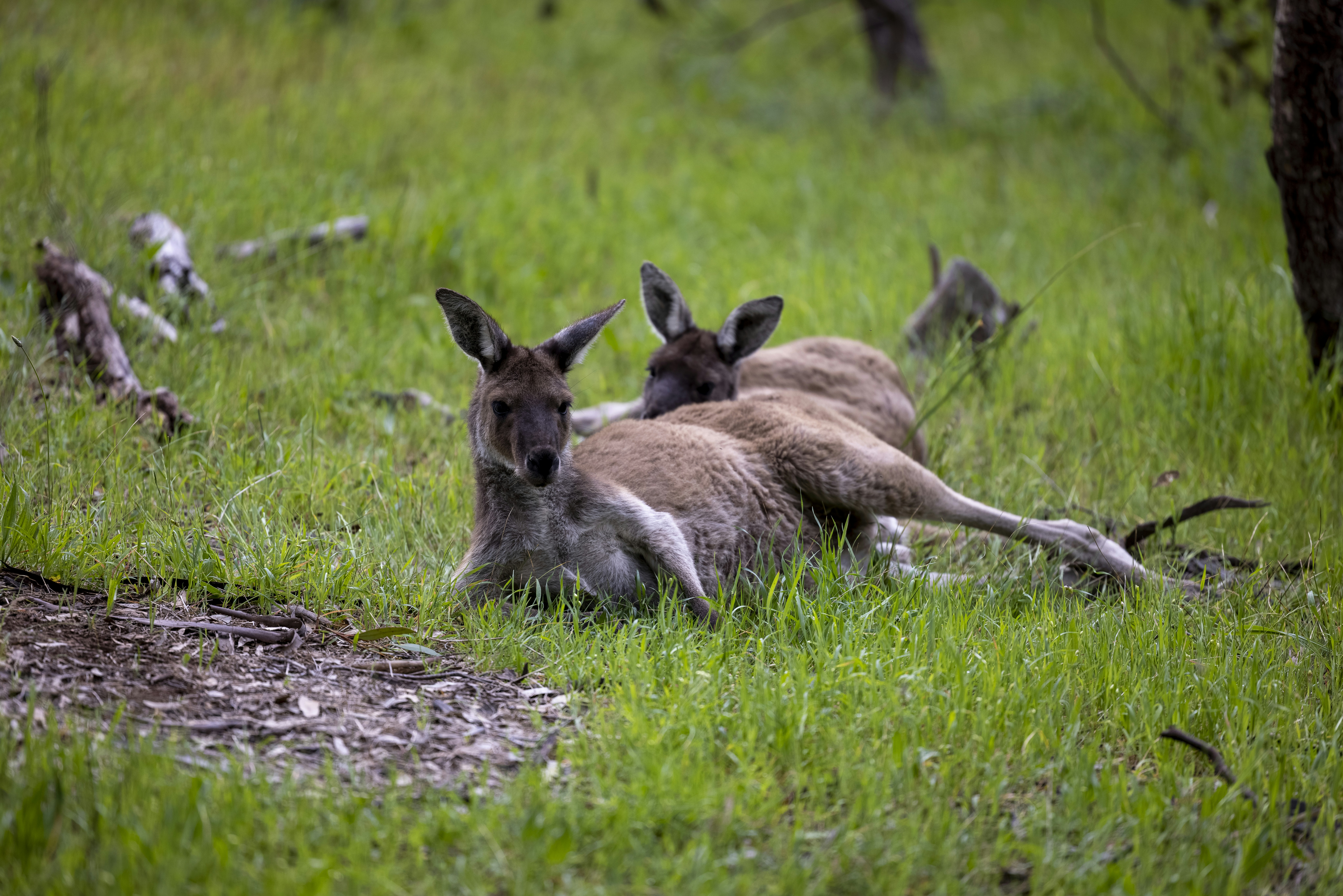 Photo by stephenmabbs
