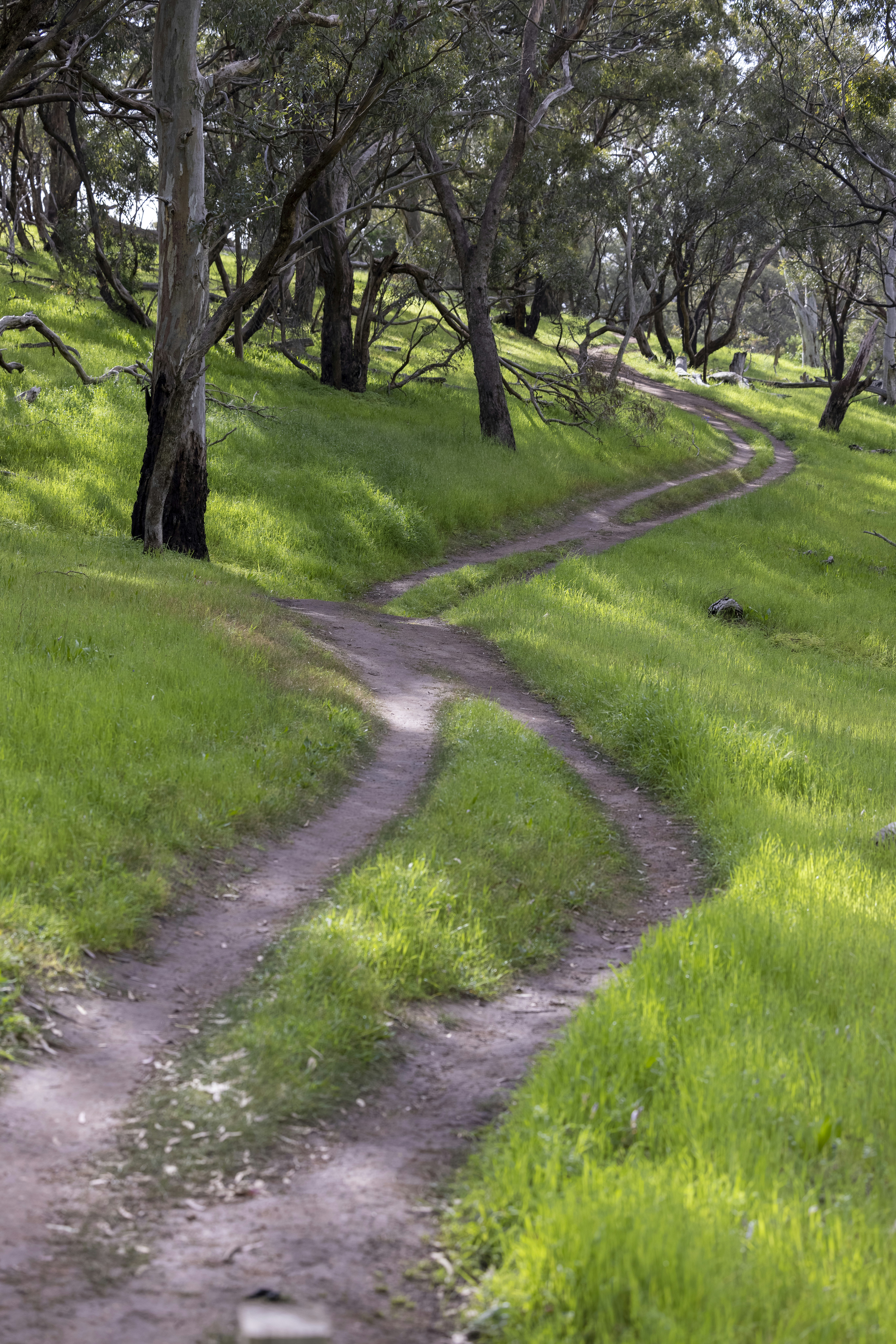 Photo by stephenmabbs