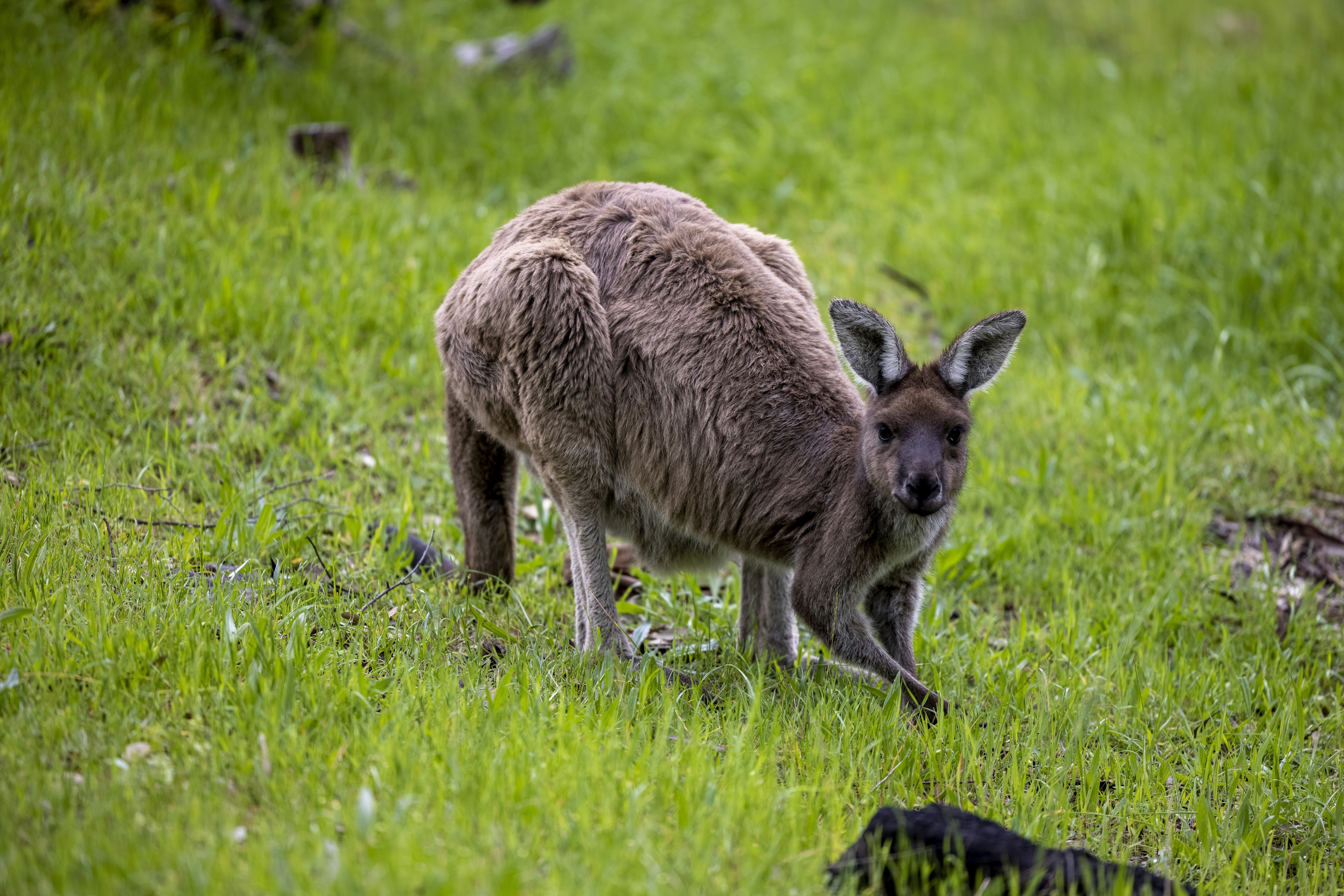 Photo by stephenmabbs