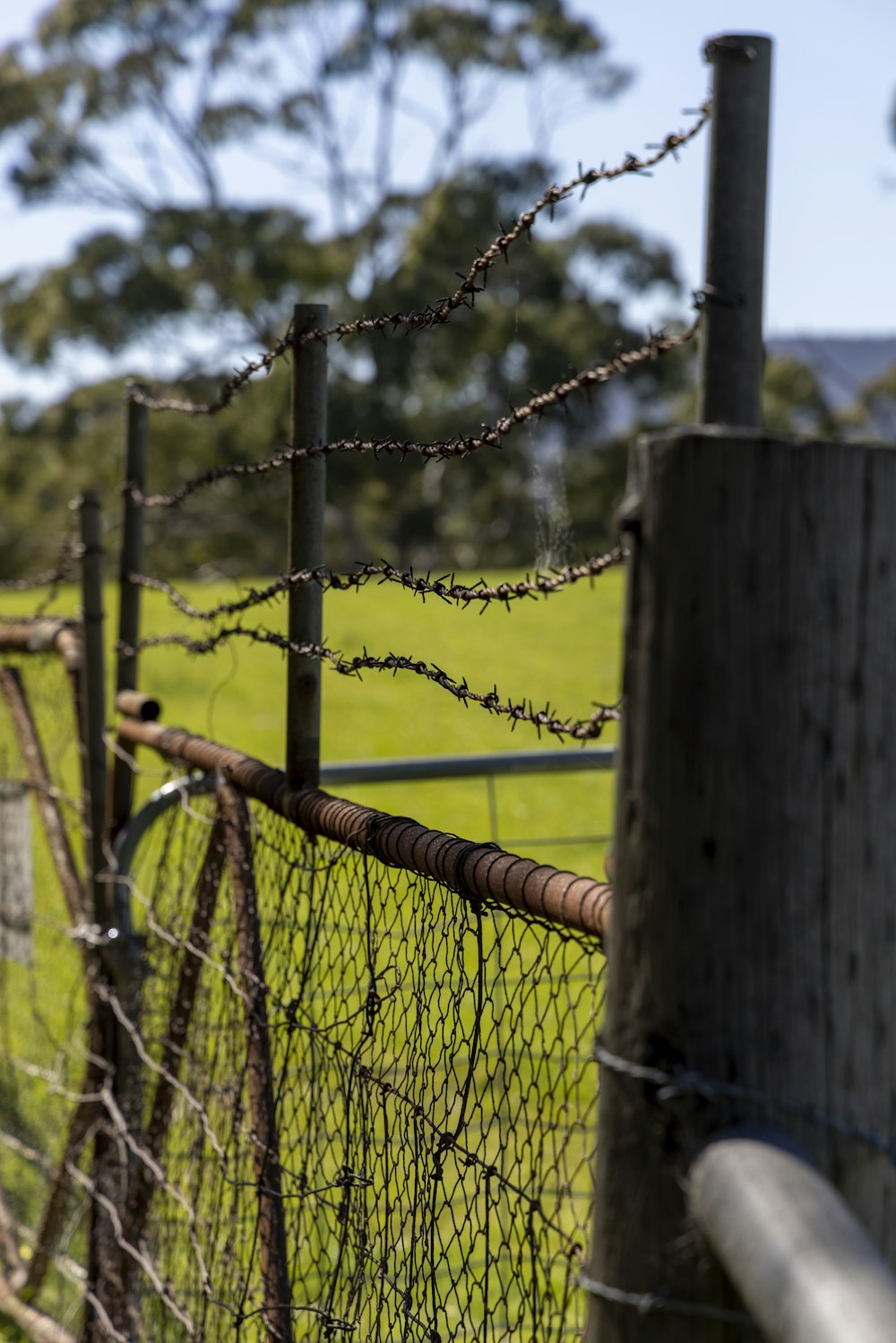 a fence with barbed wire and a field in the background
