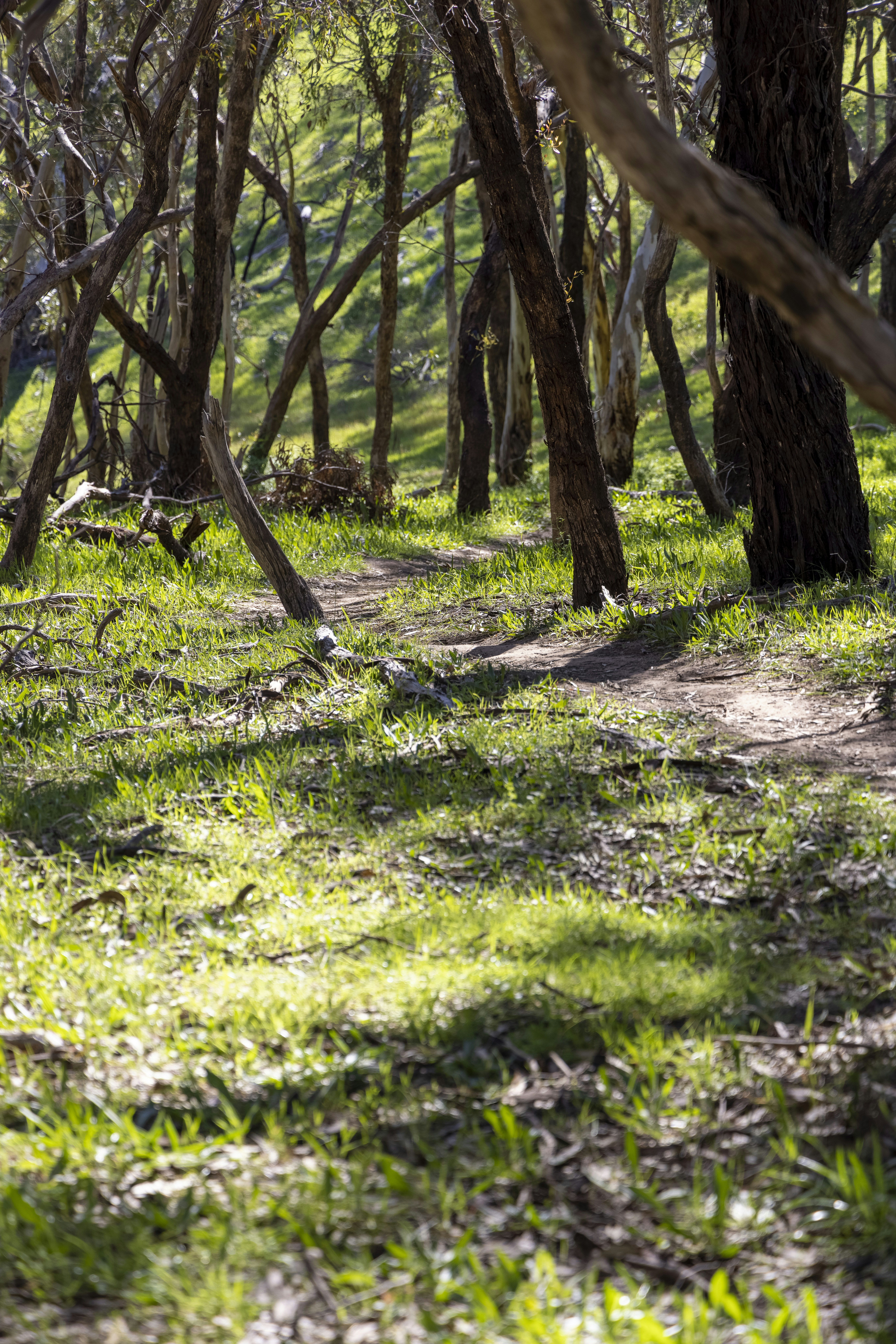 Photo by stephenmabbs