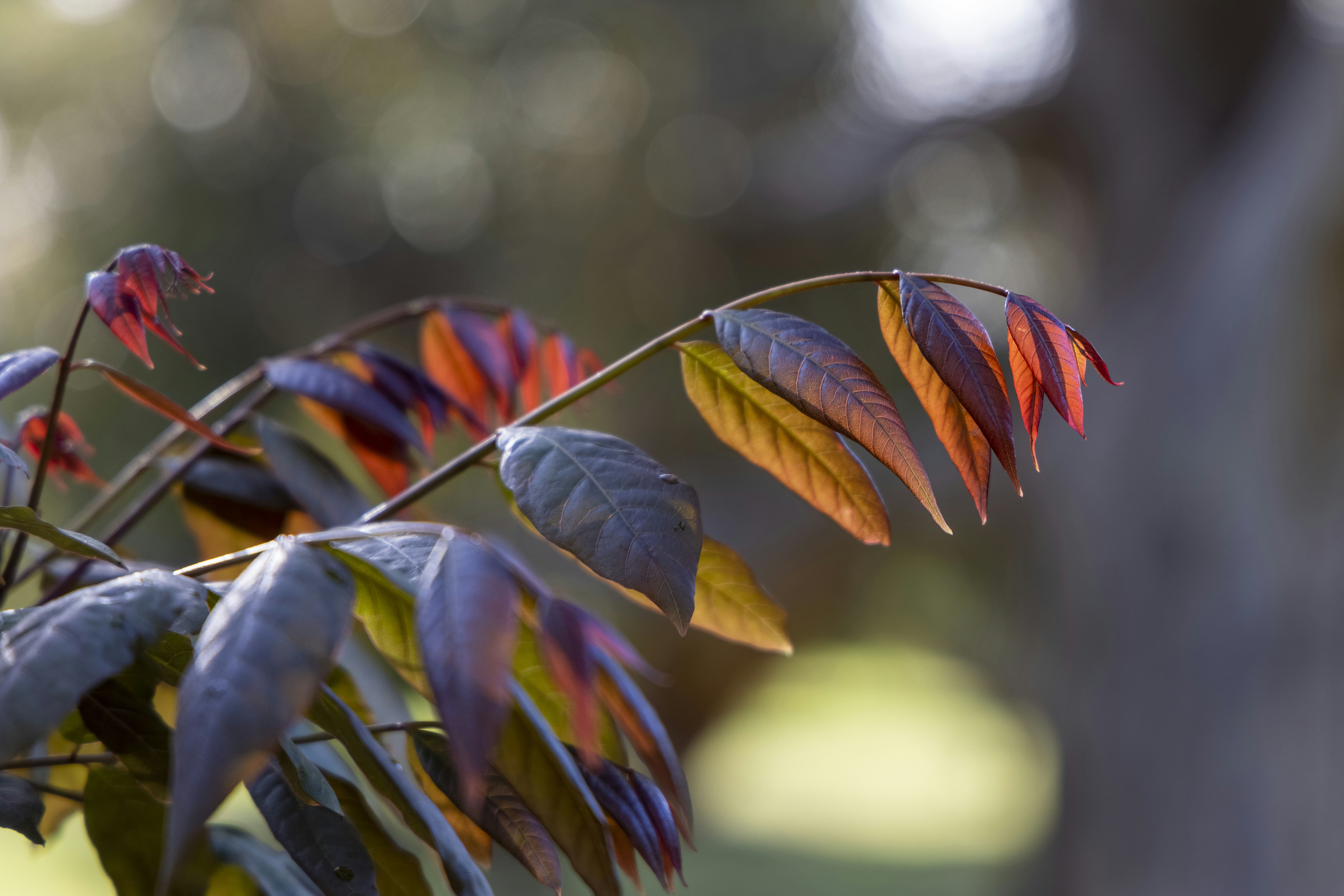 Photo by stephenmabbs