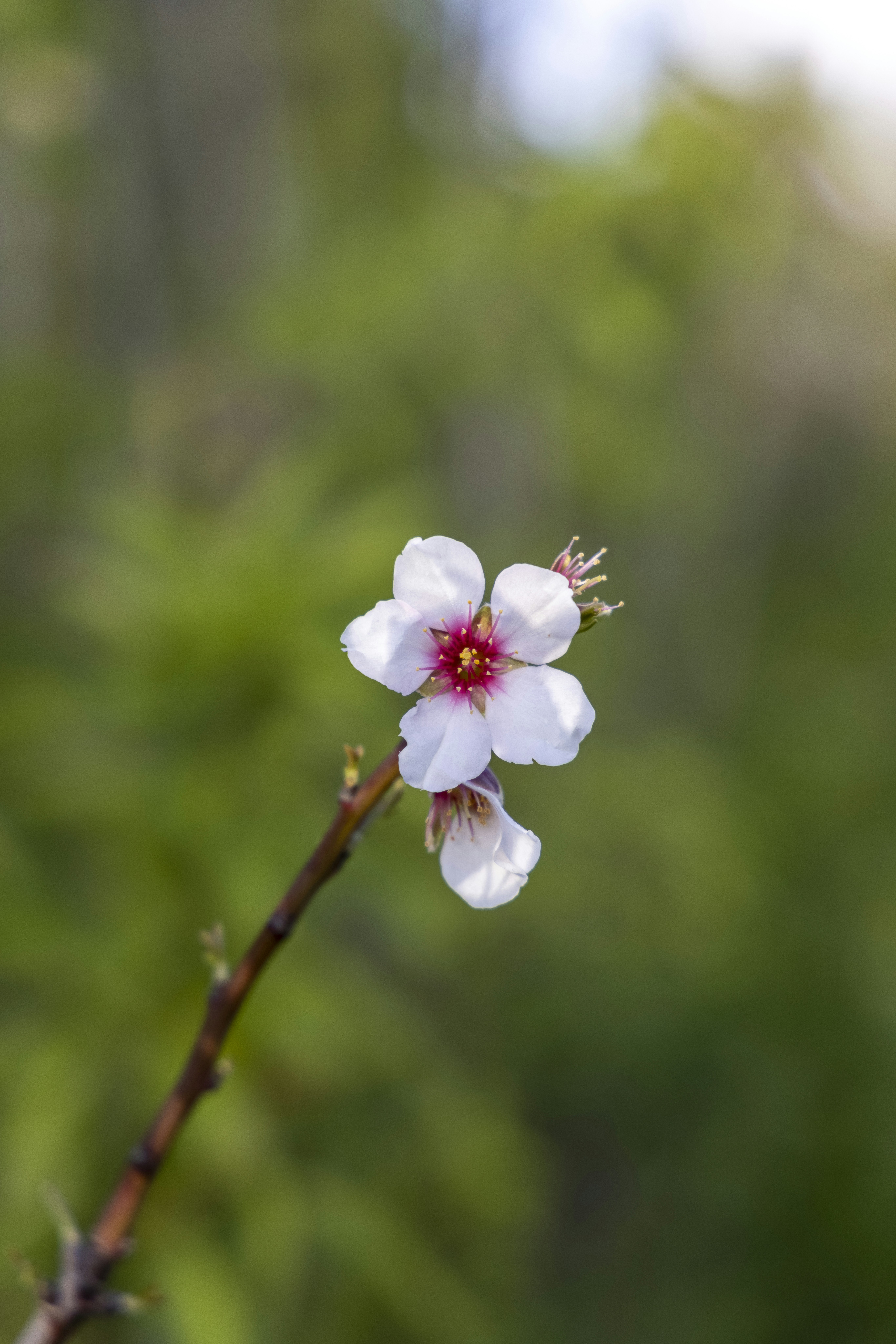 Photo by stephenmabbs