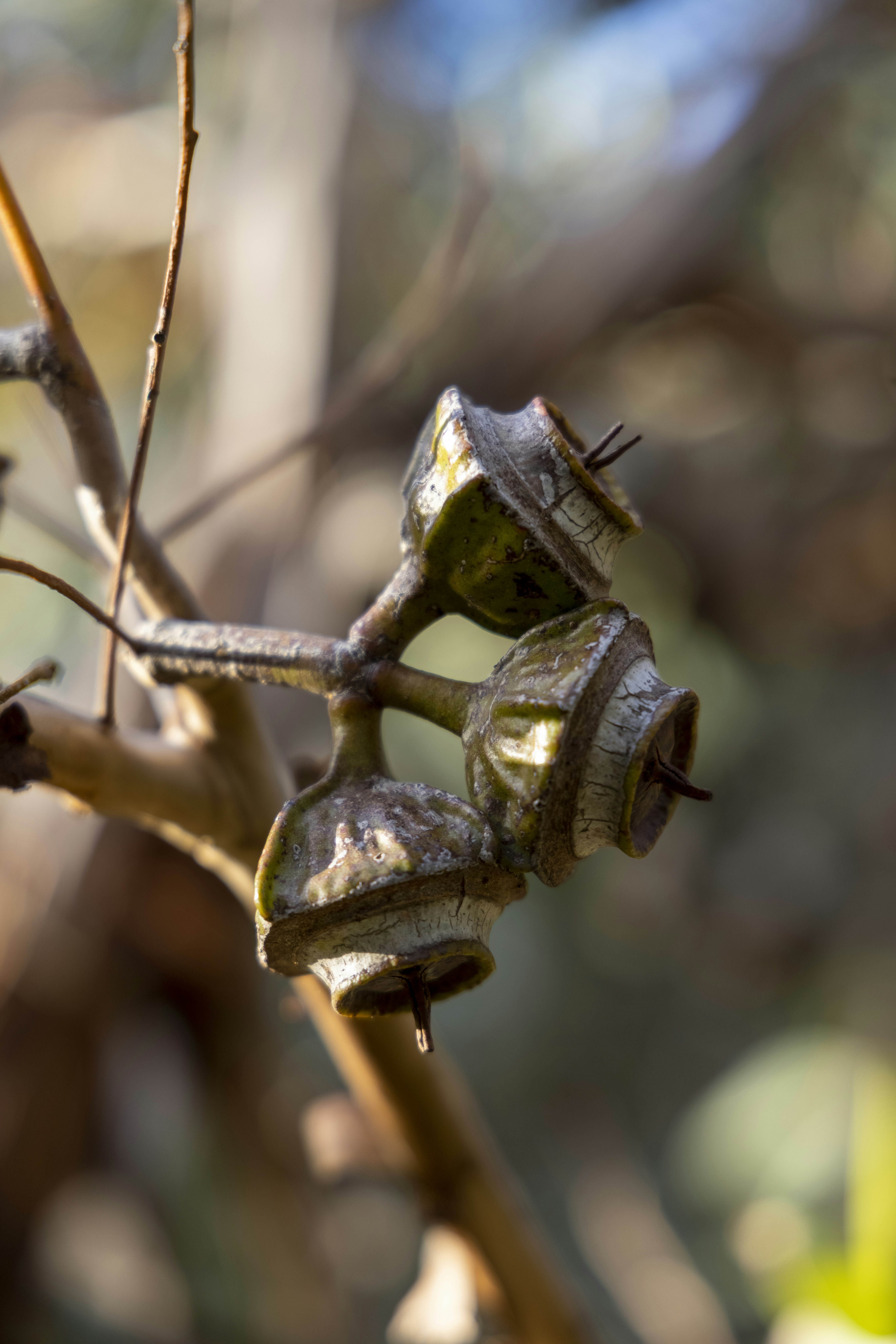 Photo by stephenmabbs