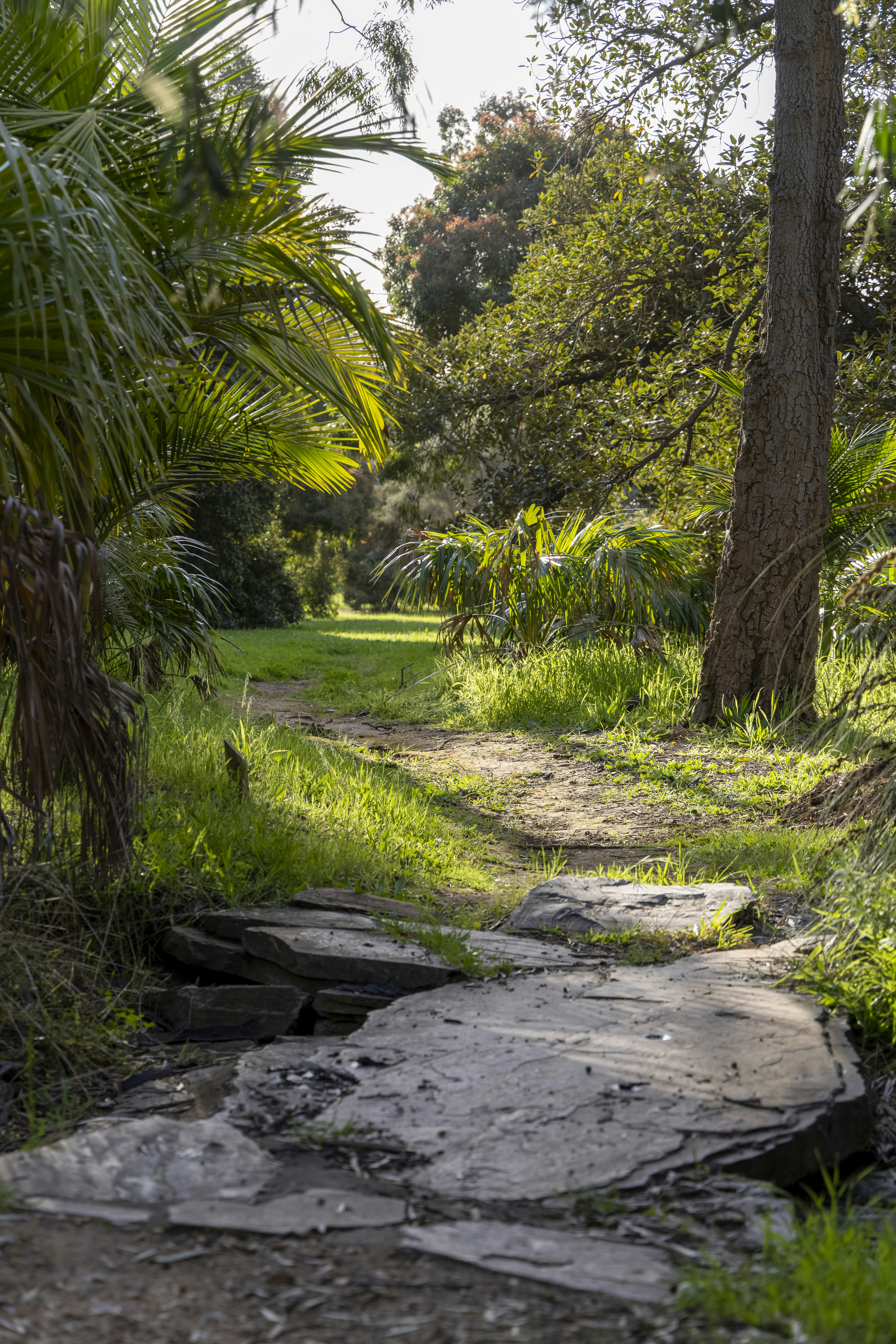 Photo by stephenmabbs