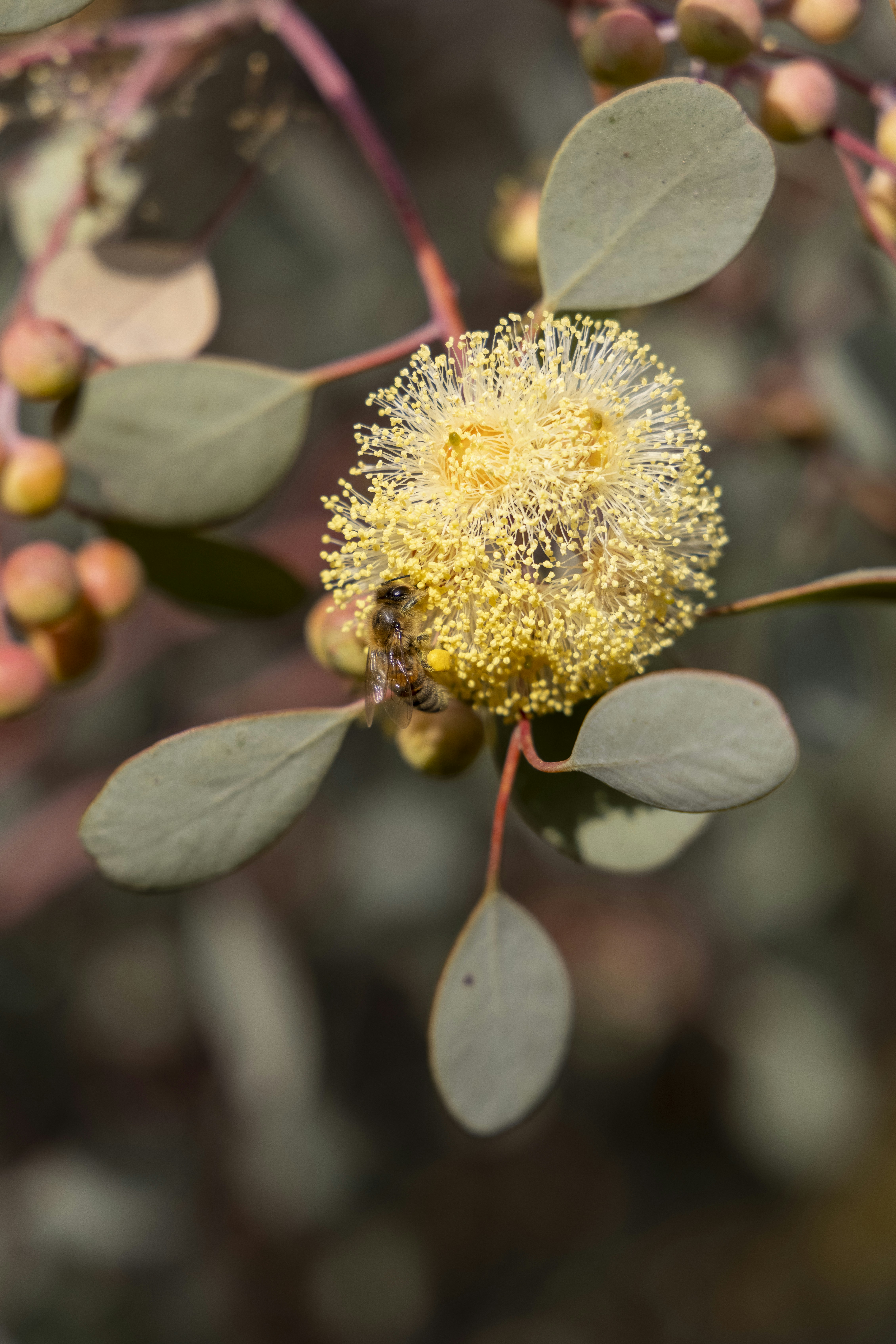 Photo by stephenmabbs