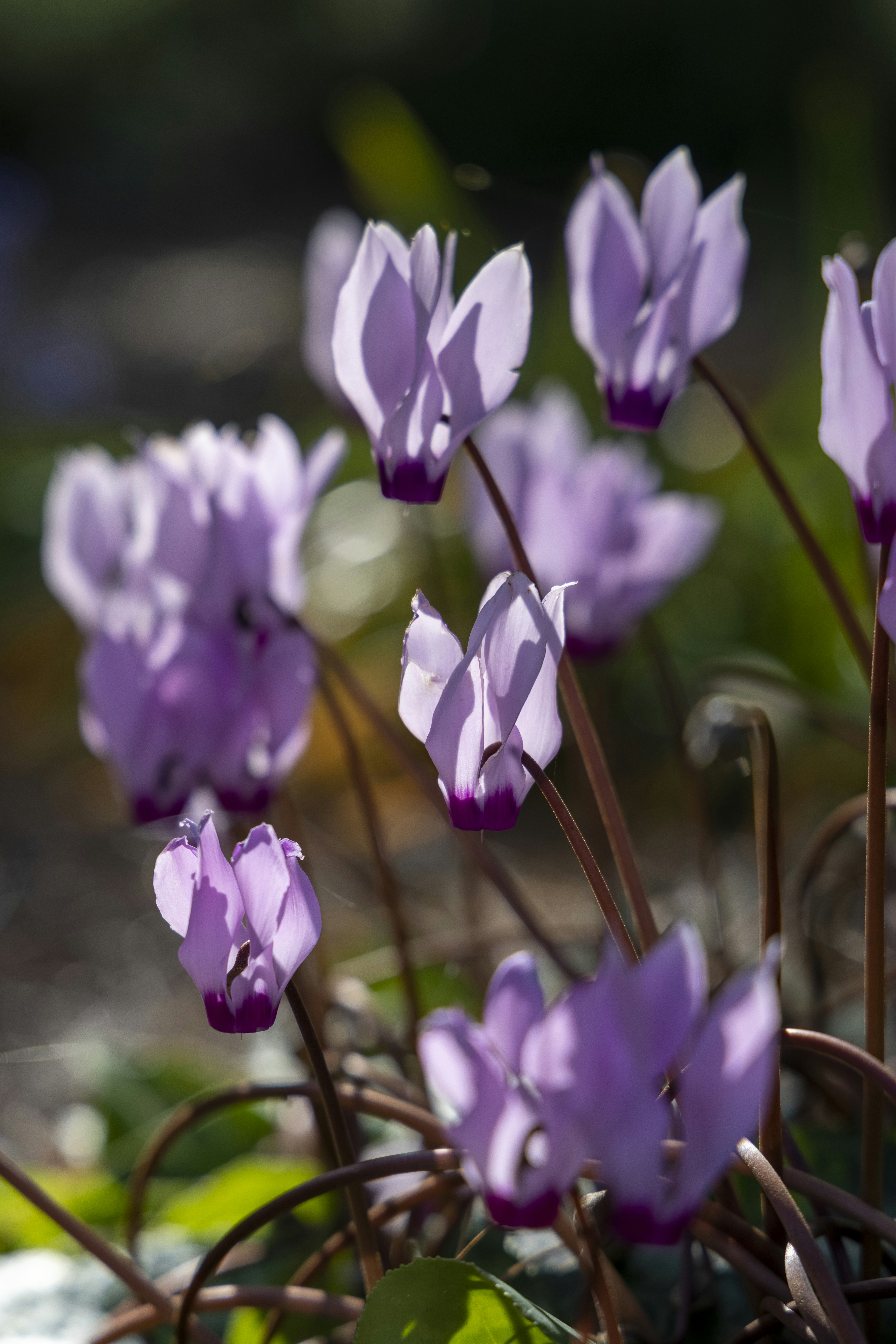 Photo by stephenmabbs