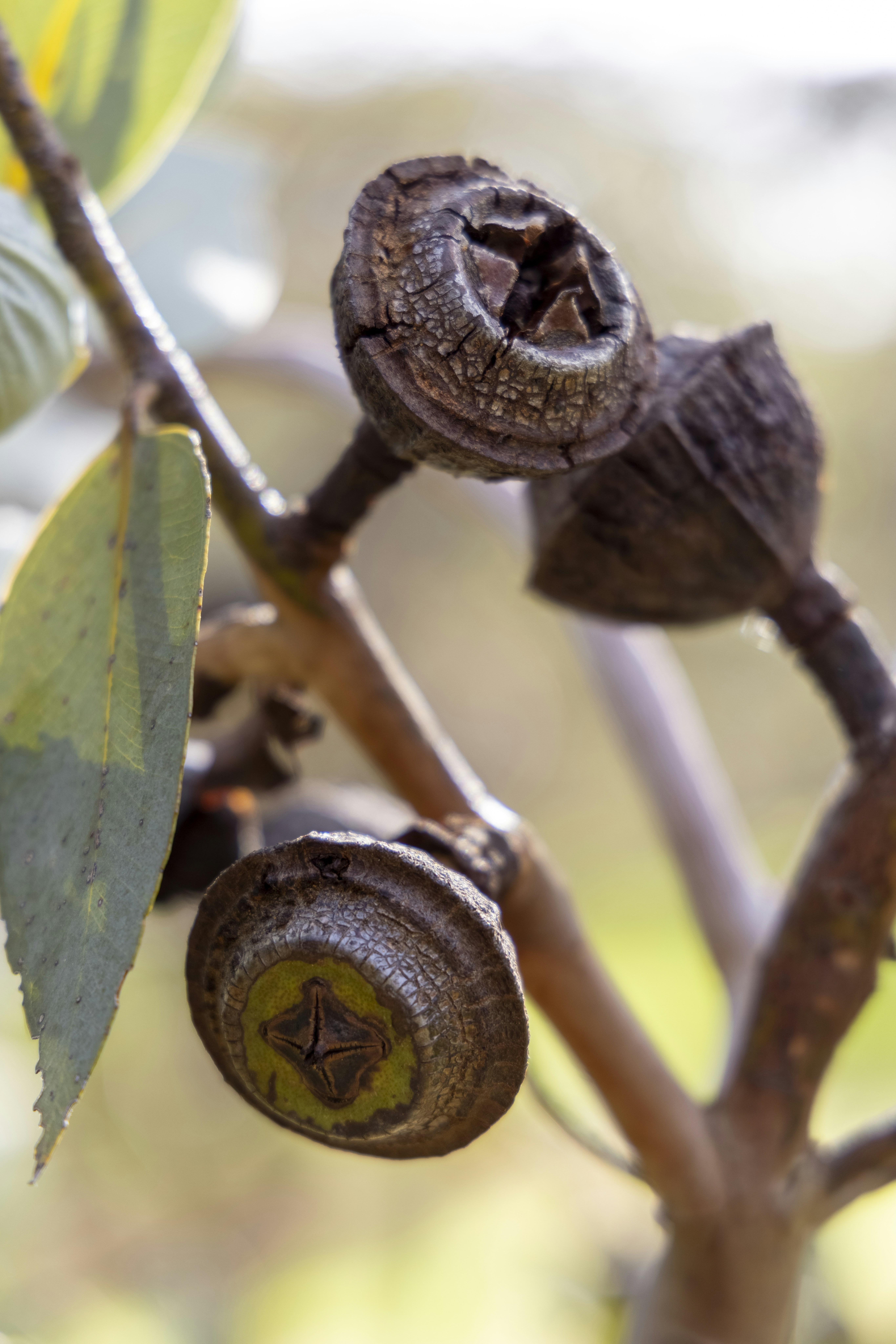 Photo by stephenmabbs