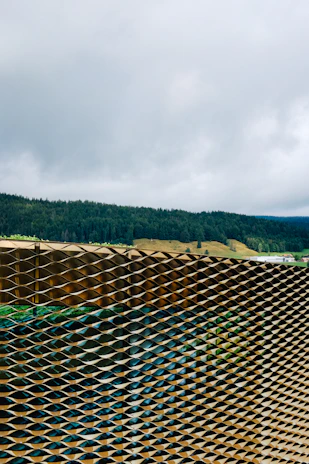 An aerial view of a landscaped yard featuring a mix of steel fencing and timber accents.