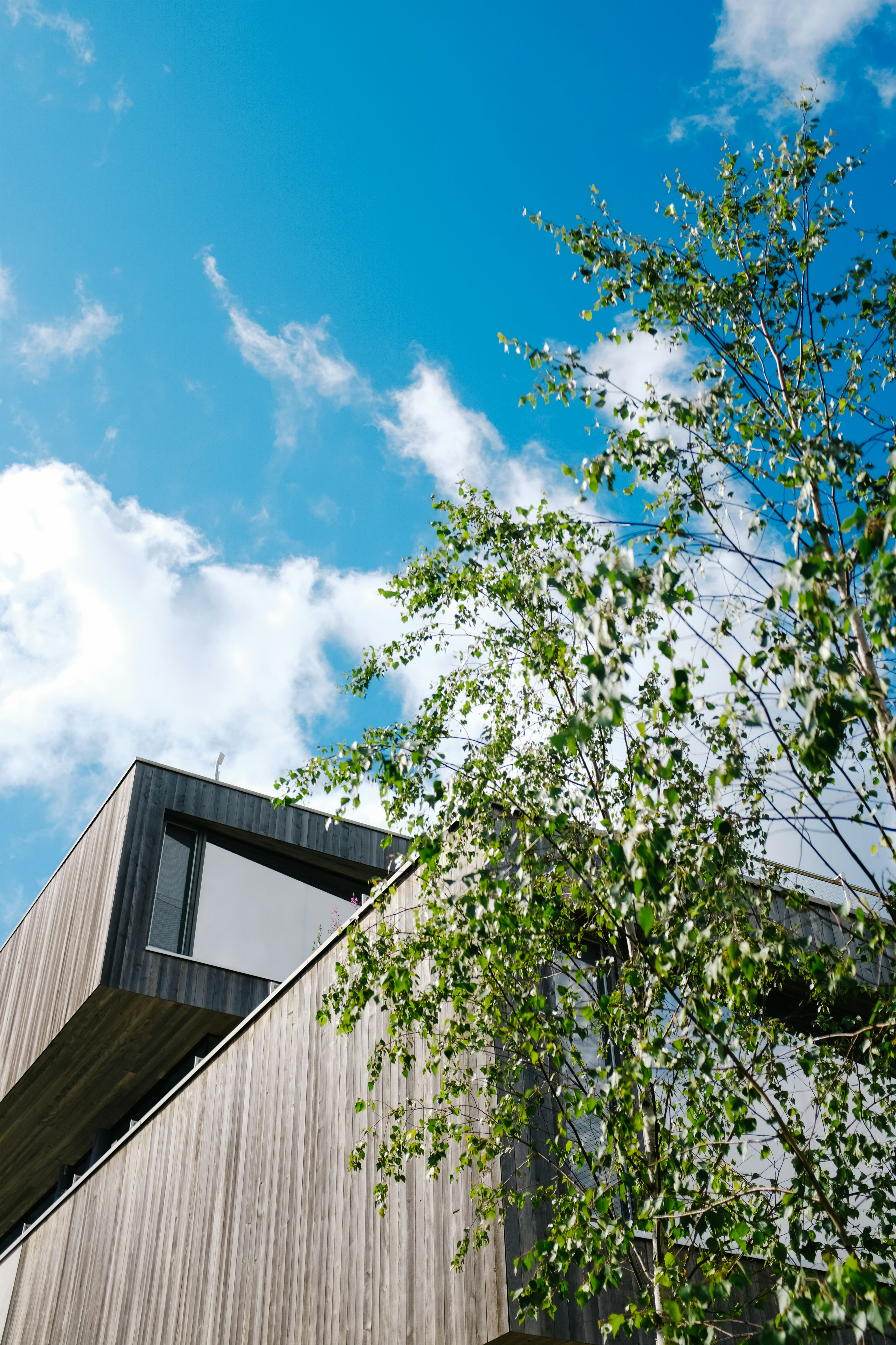 Photo by adrienolichon