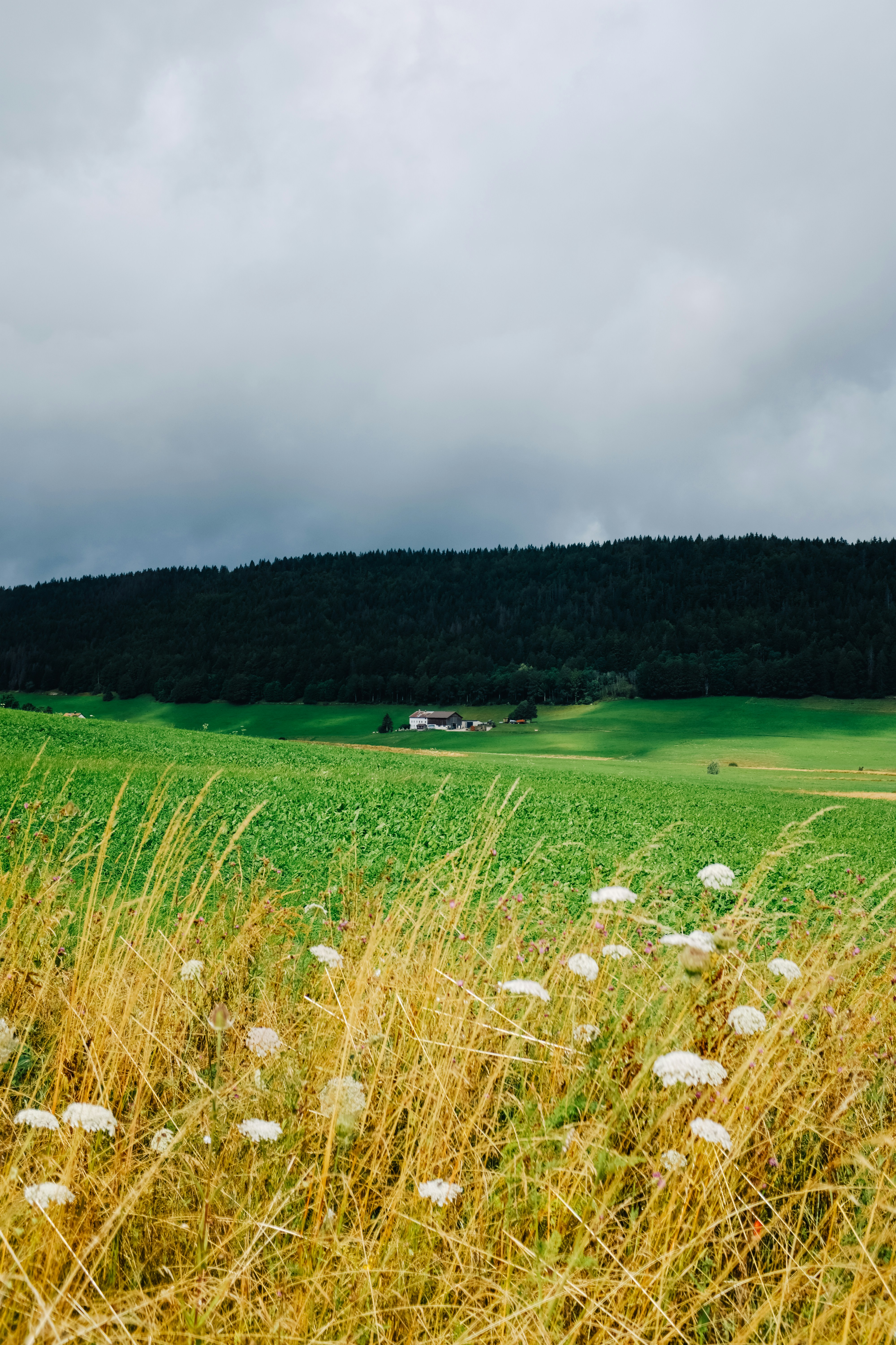 Photo by adrienolichon